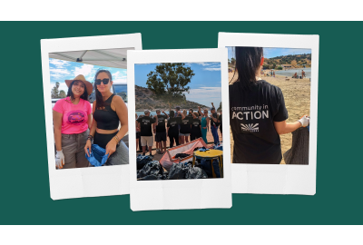 beach-clean-up