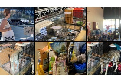 community-in-action-