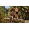 tropical-swimwear-men-trends-2026