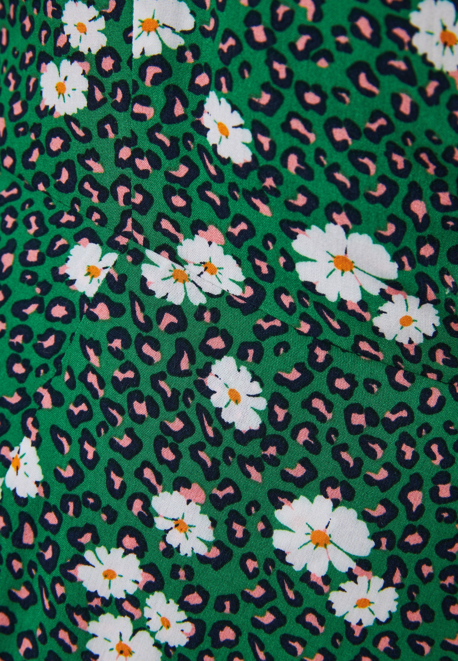 Women's Dresses Funky Buddha Green