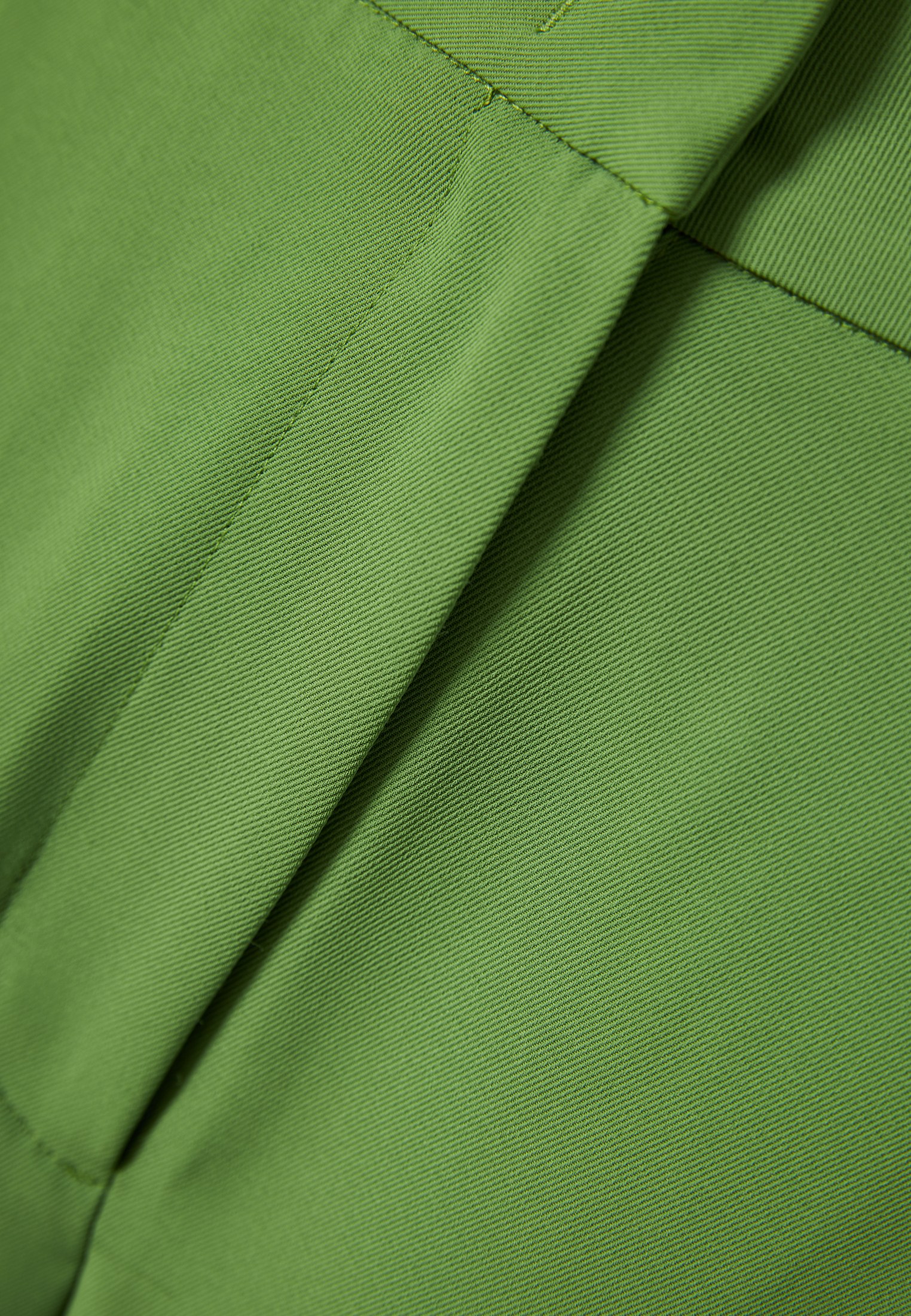 Women's Shorts Funky Buddha Green