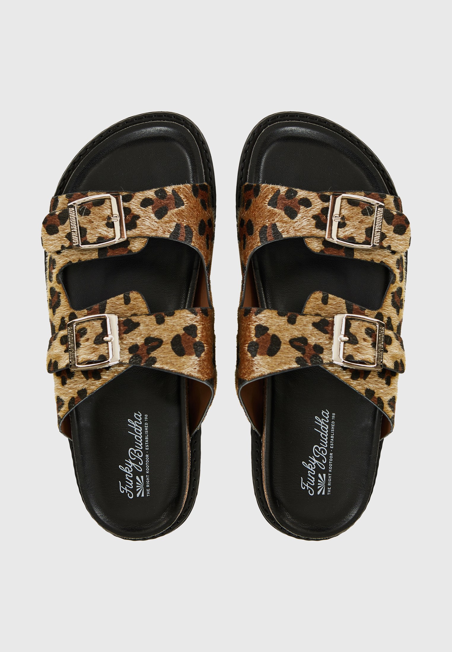 Women's Tracksuits Funky Buddha Multicolor