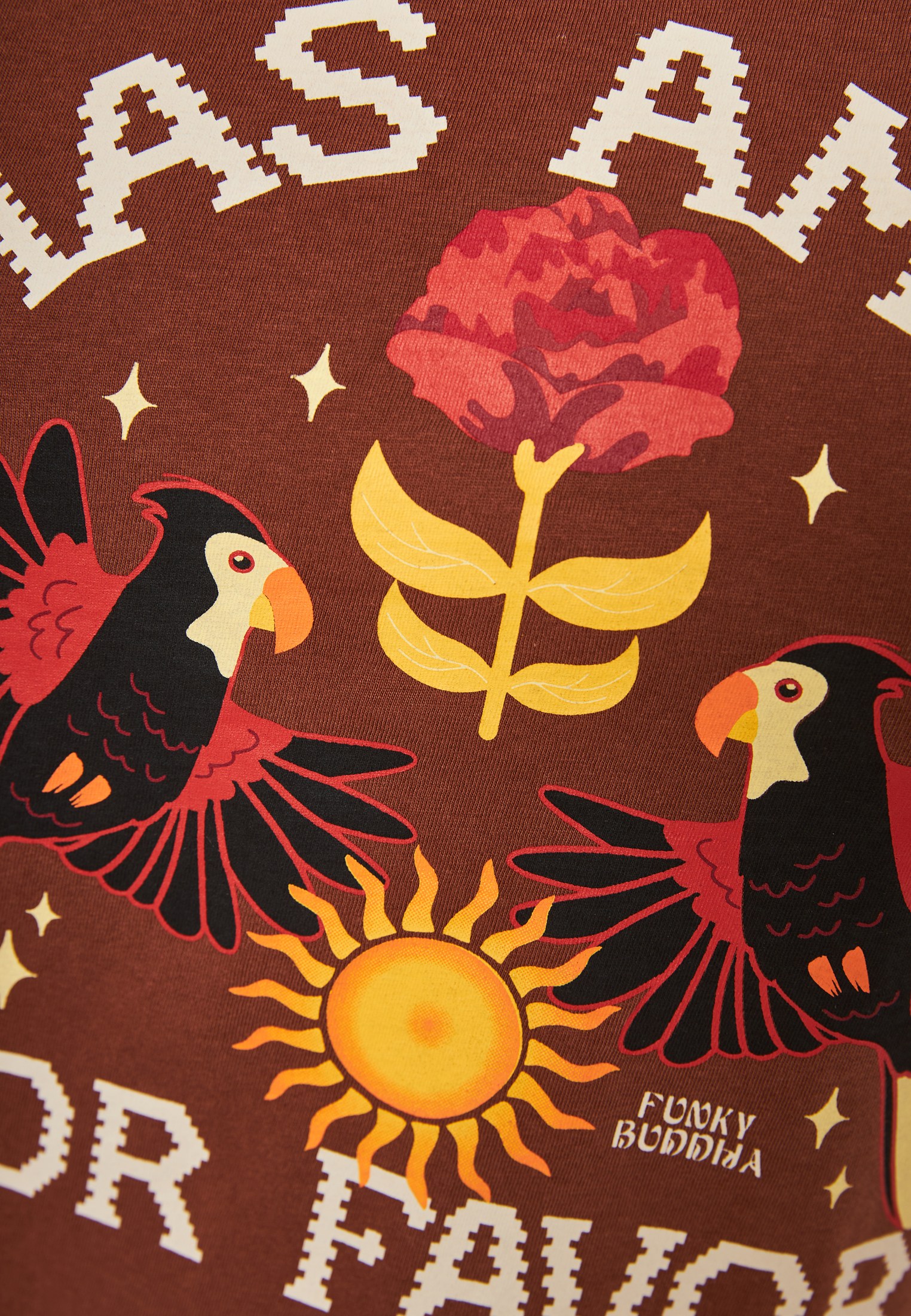 Women's Shirts Funky Buddha Brown