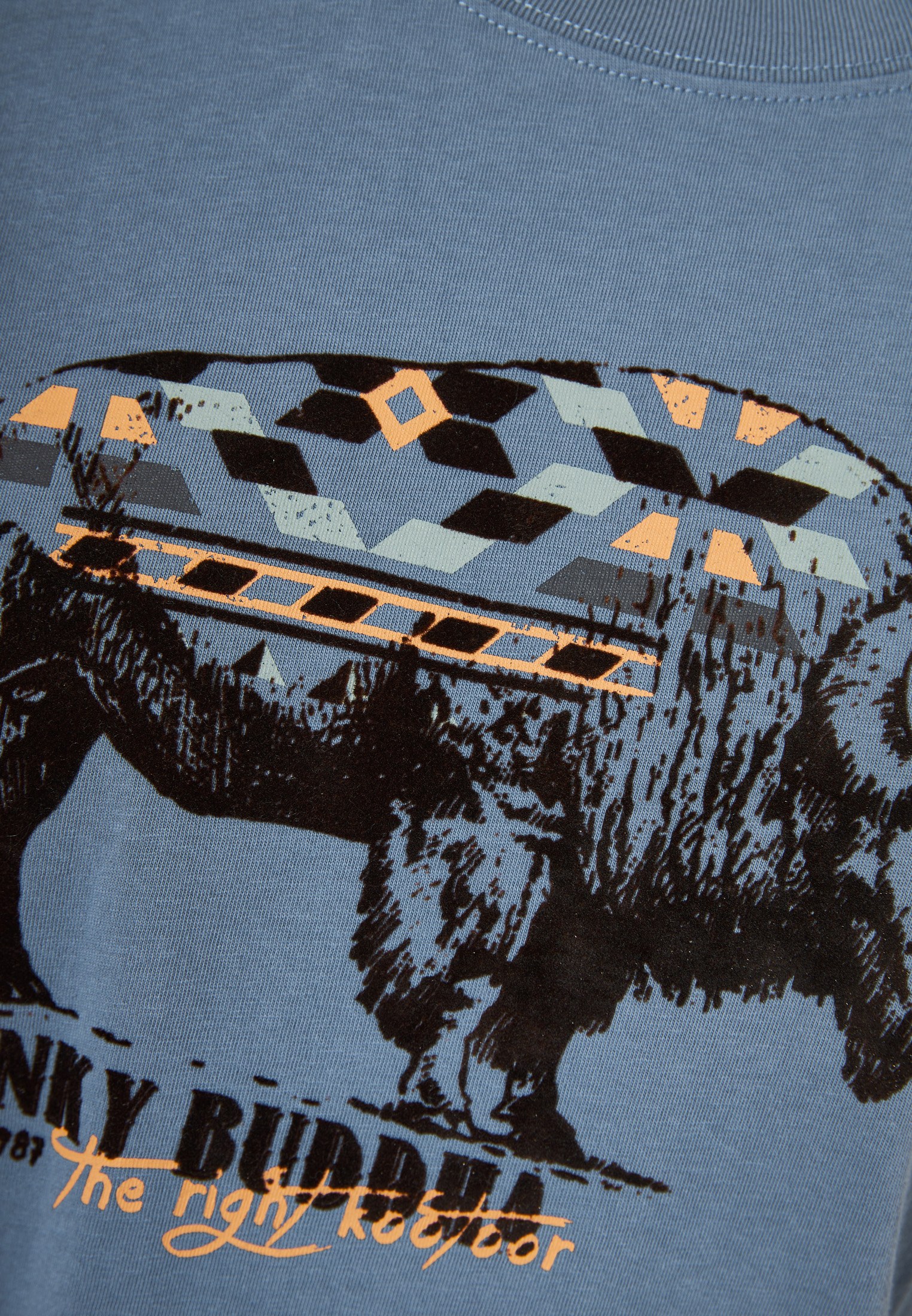 Women's Shirts Funky Buddha Blue