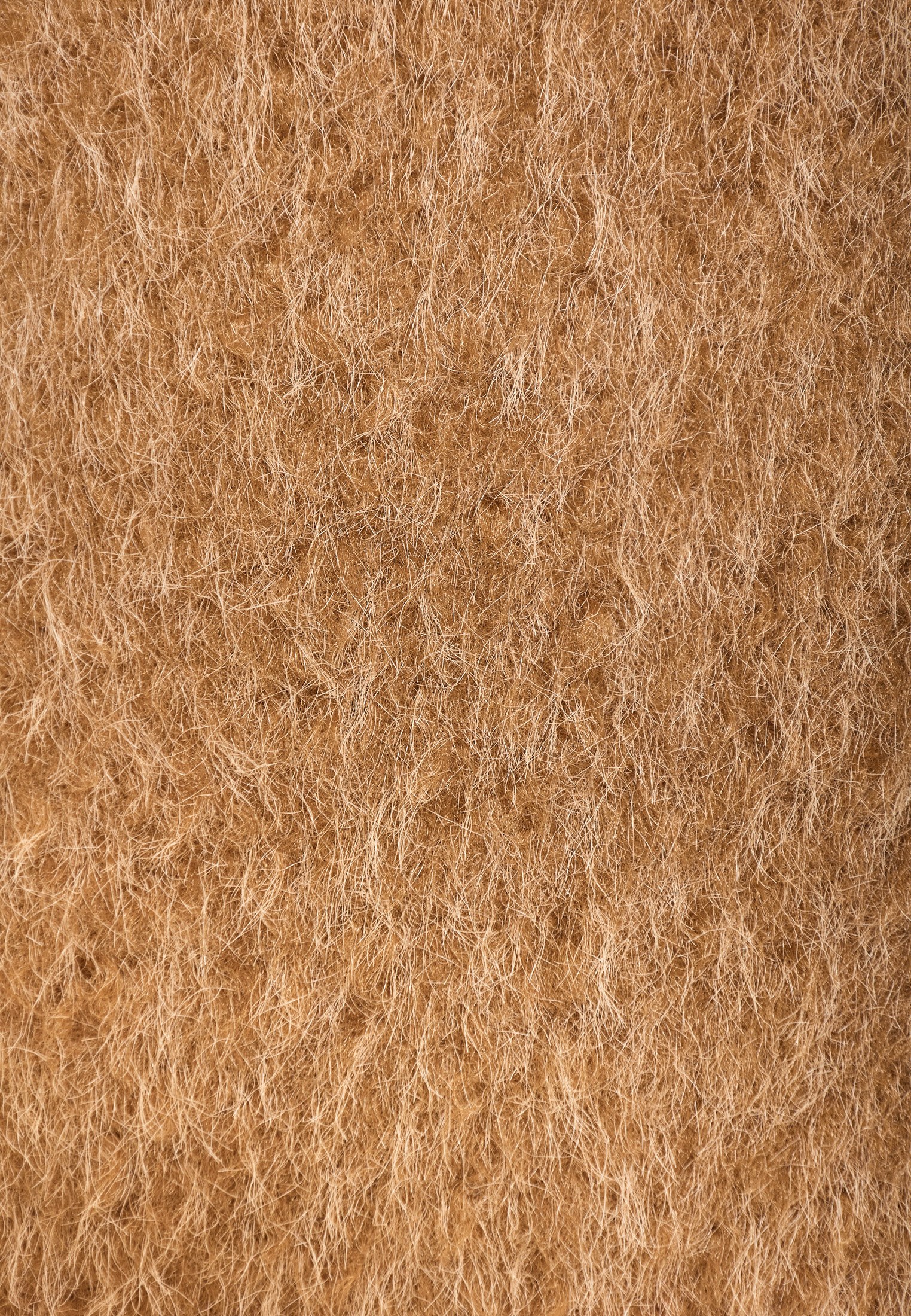 Women's Jackets Funky Buddha Beige