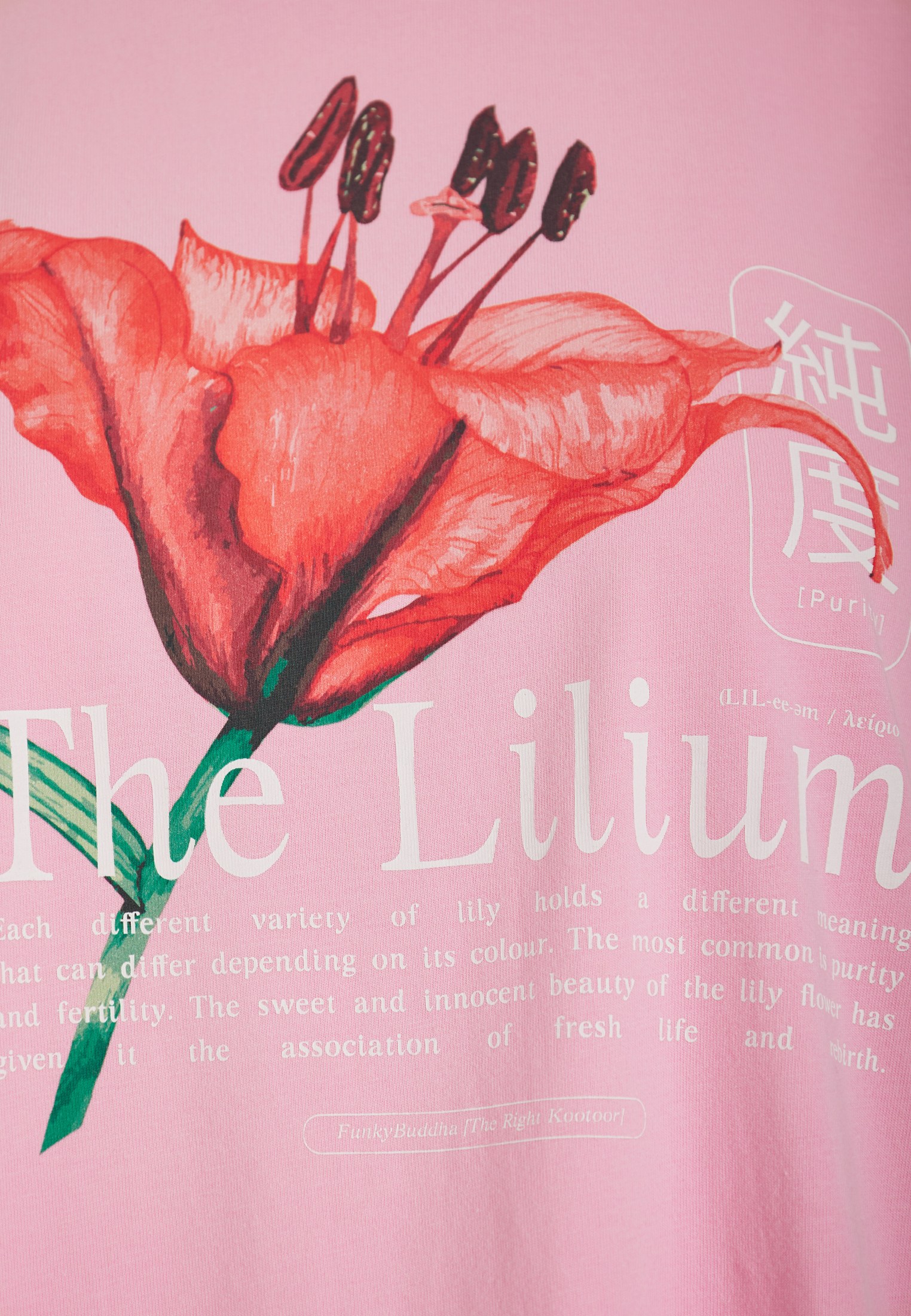 Women's Shirts Funky Buddha Pink