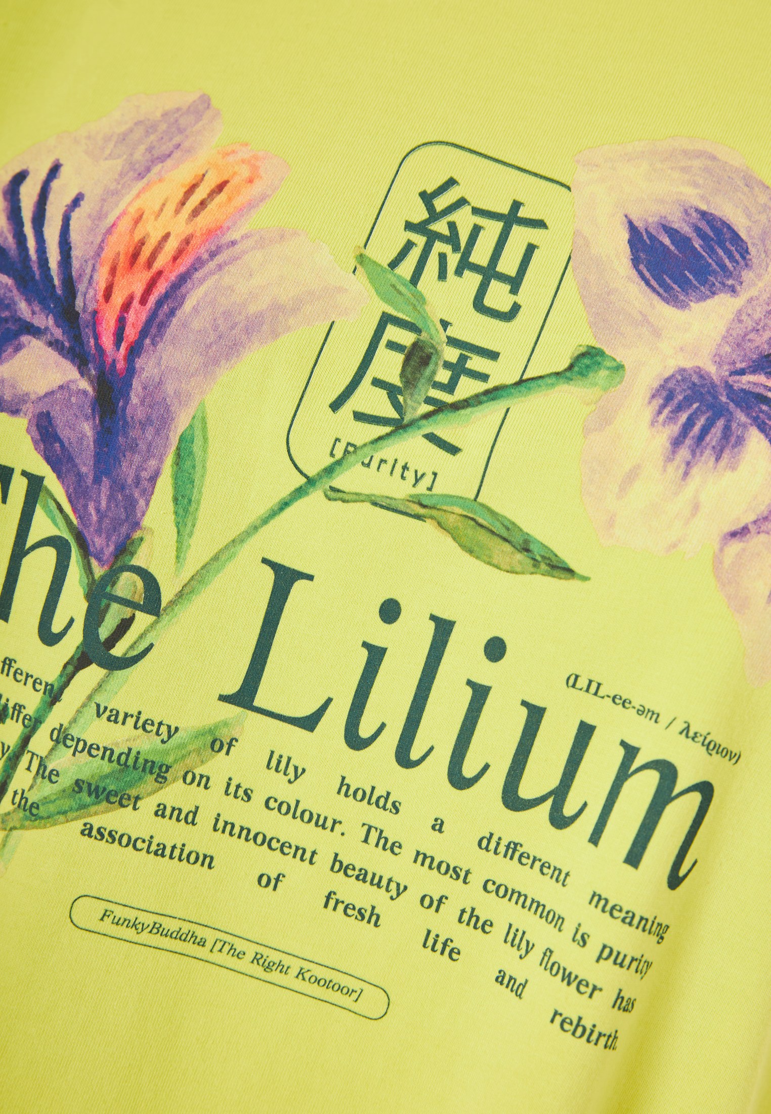 Women's Shirts Funky Buddha Green