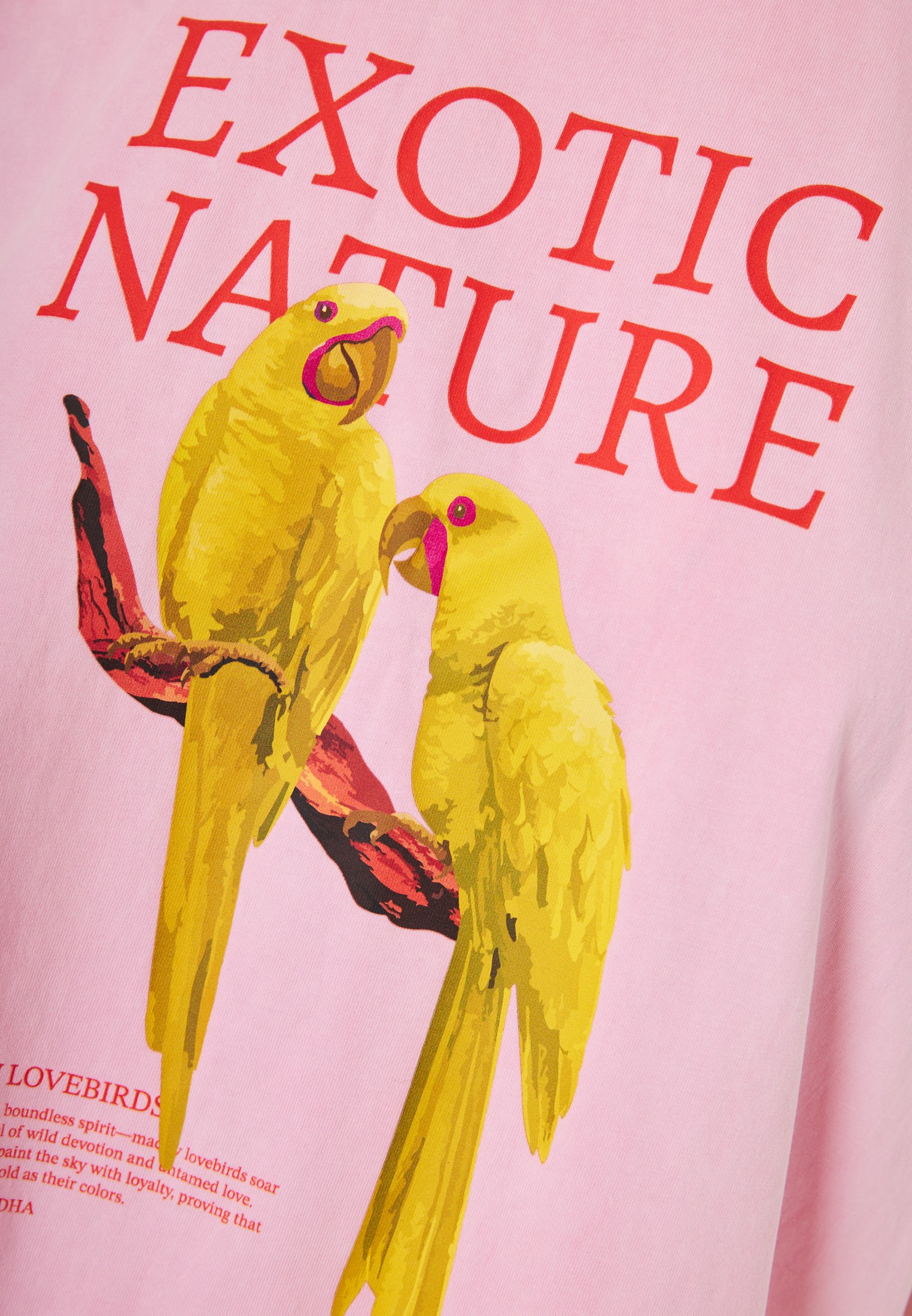 Women's Shirts Funky Buddha Pink