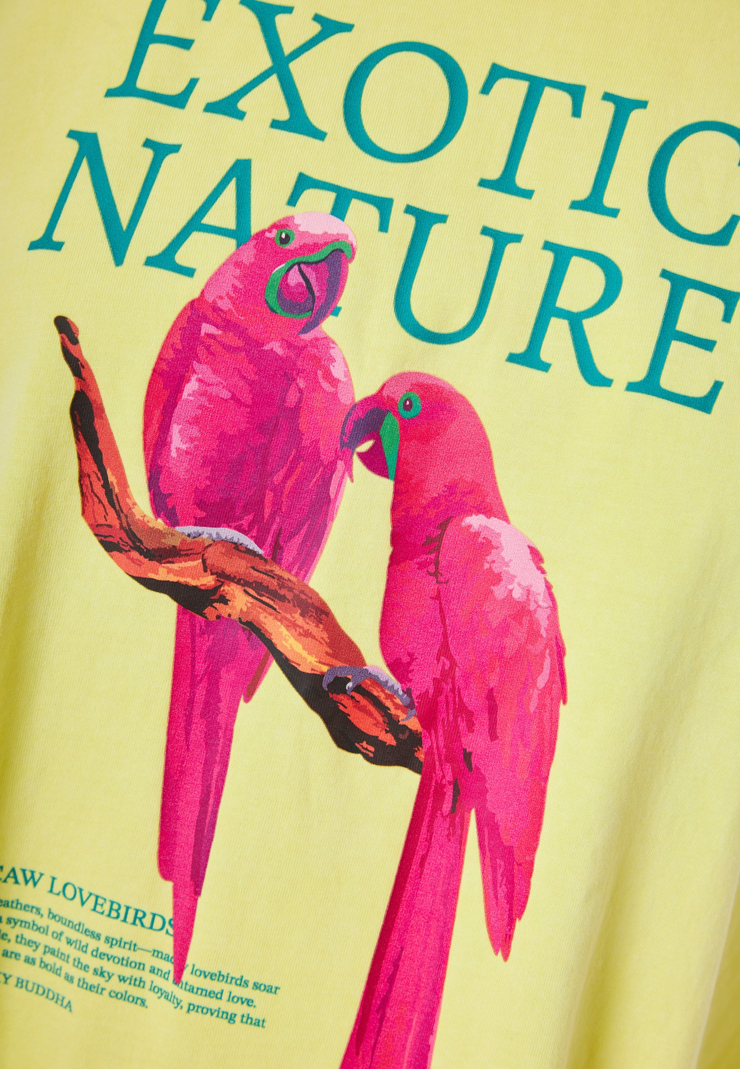 Women's Shirts Funky Buddha Green