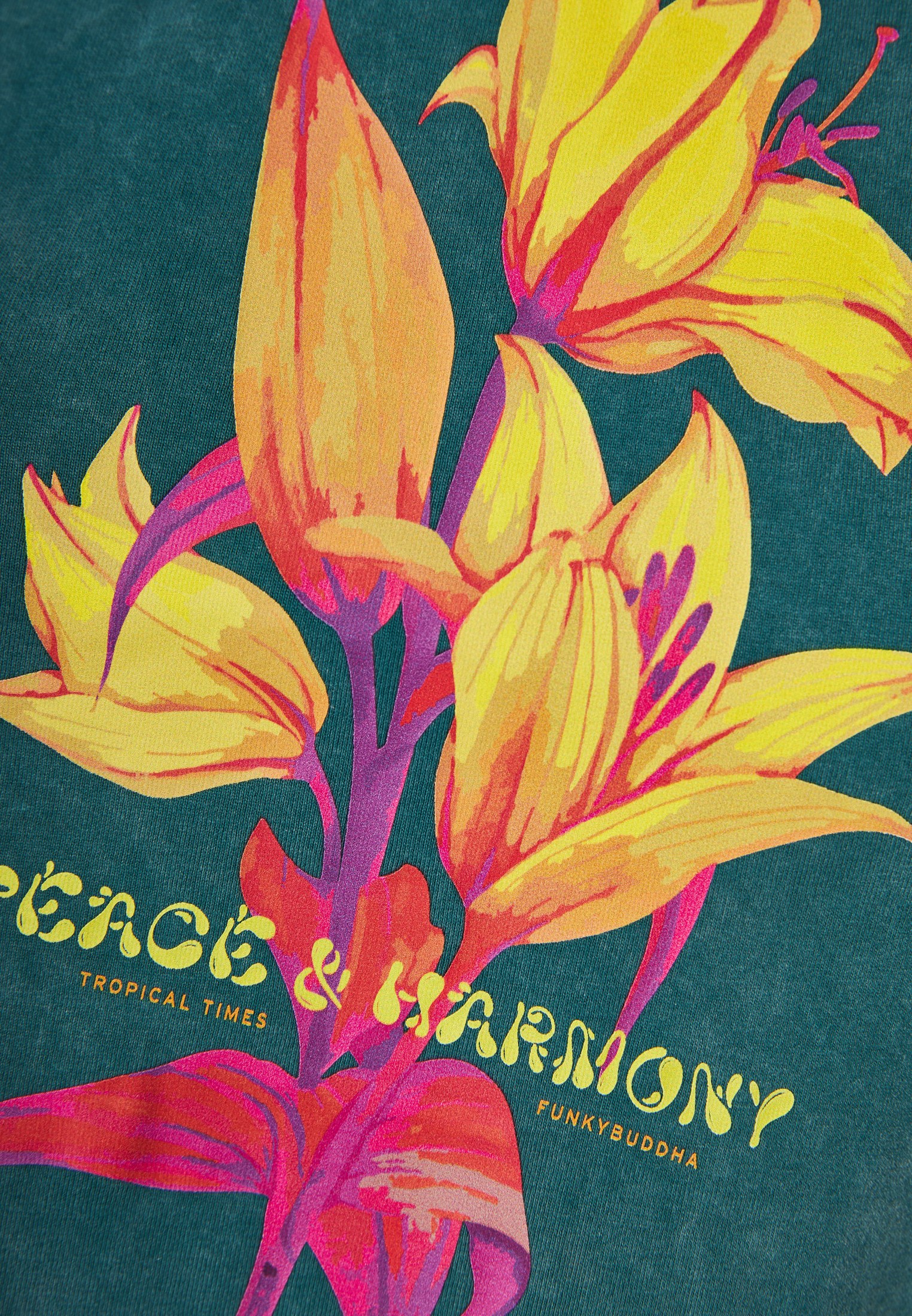 Women's Shirts Funky Buddha Green