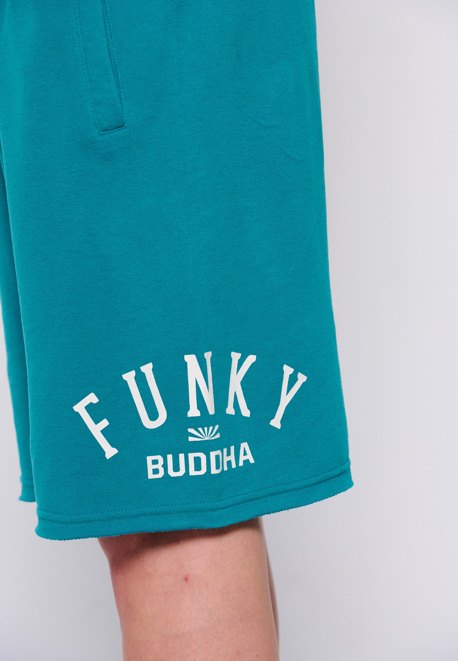 Men's Shorts Funky Buddha Green