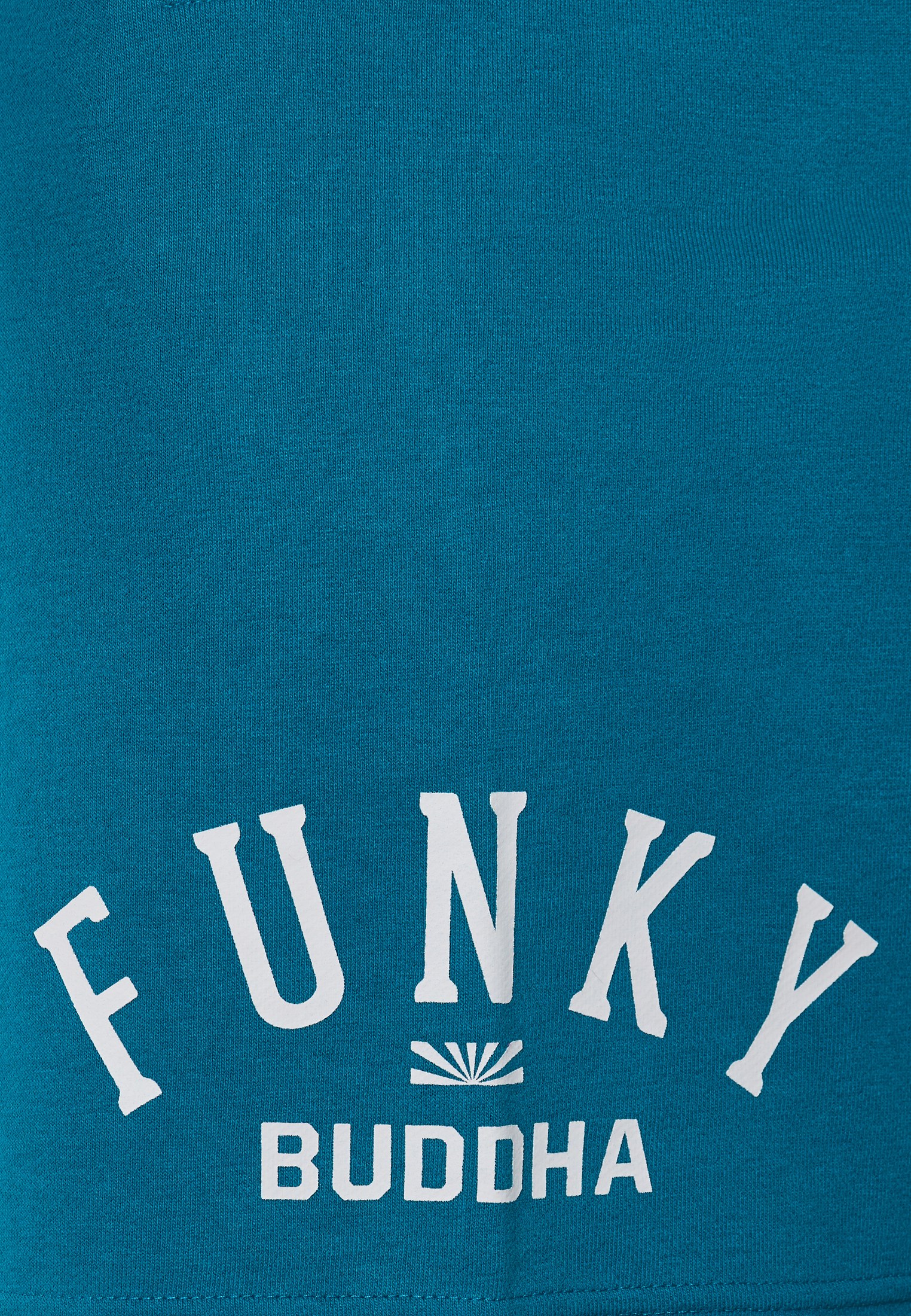 Men's Shorts Funky Buddha Green