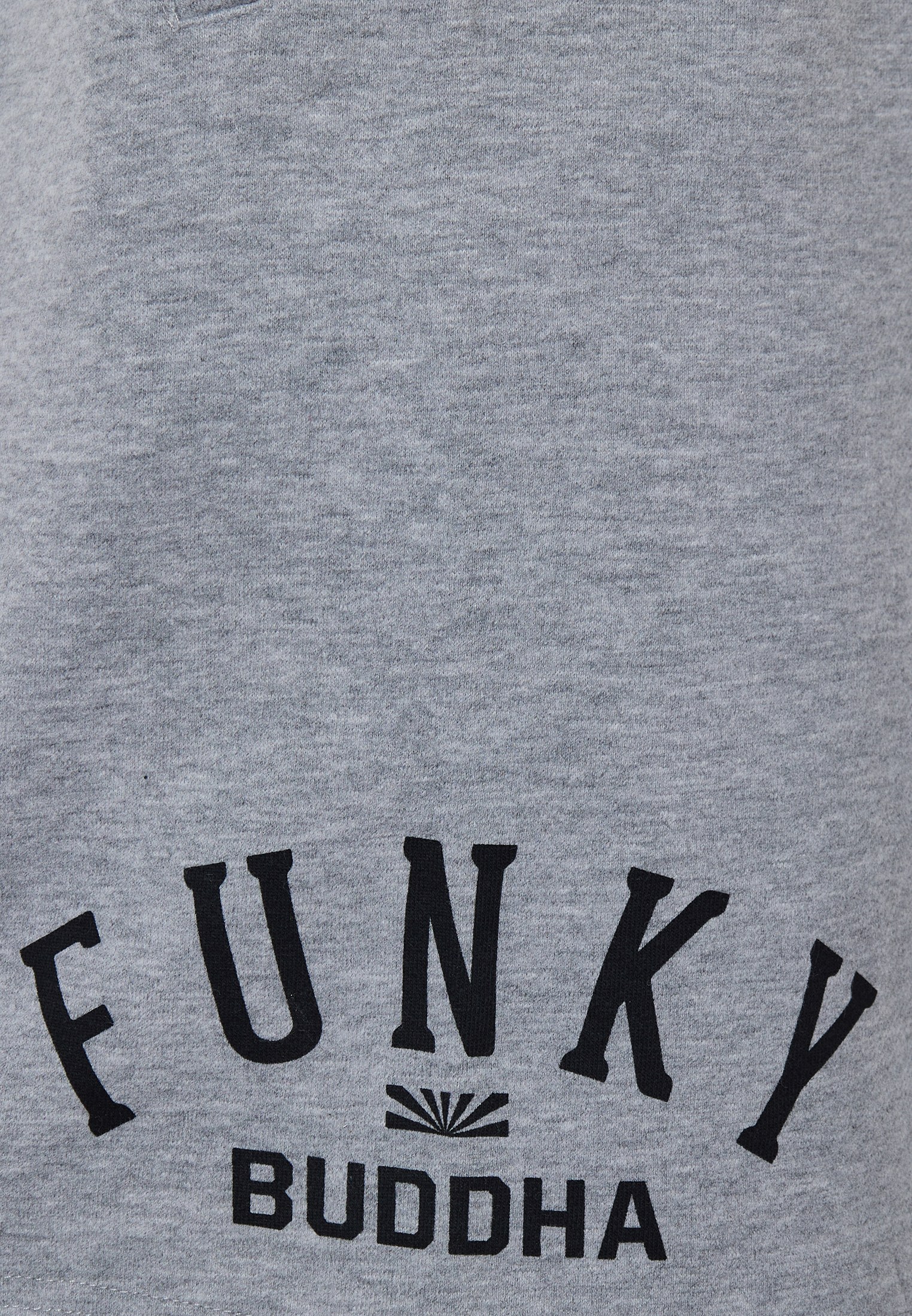 Men's Shorts Funky Buddha Gray