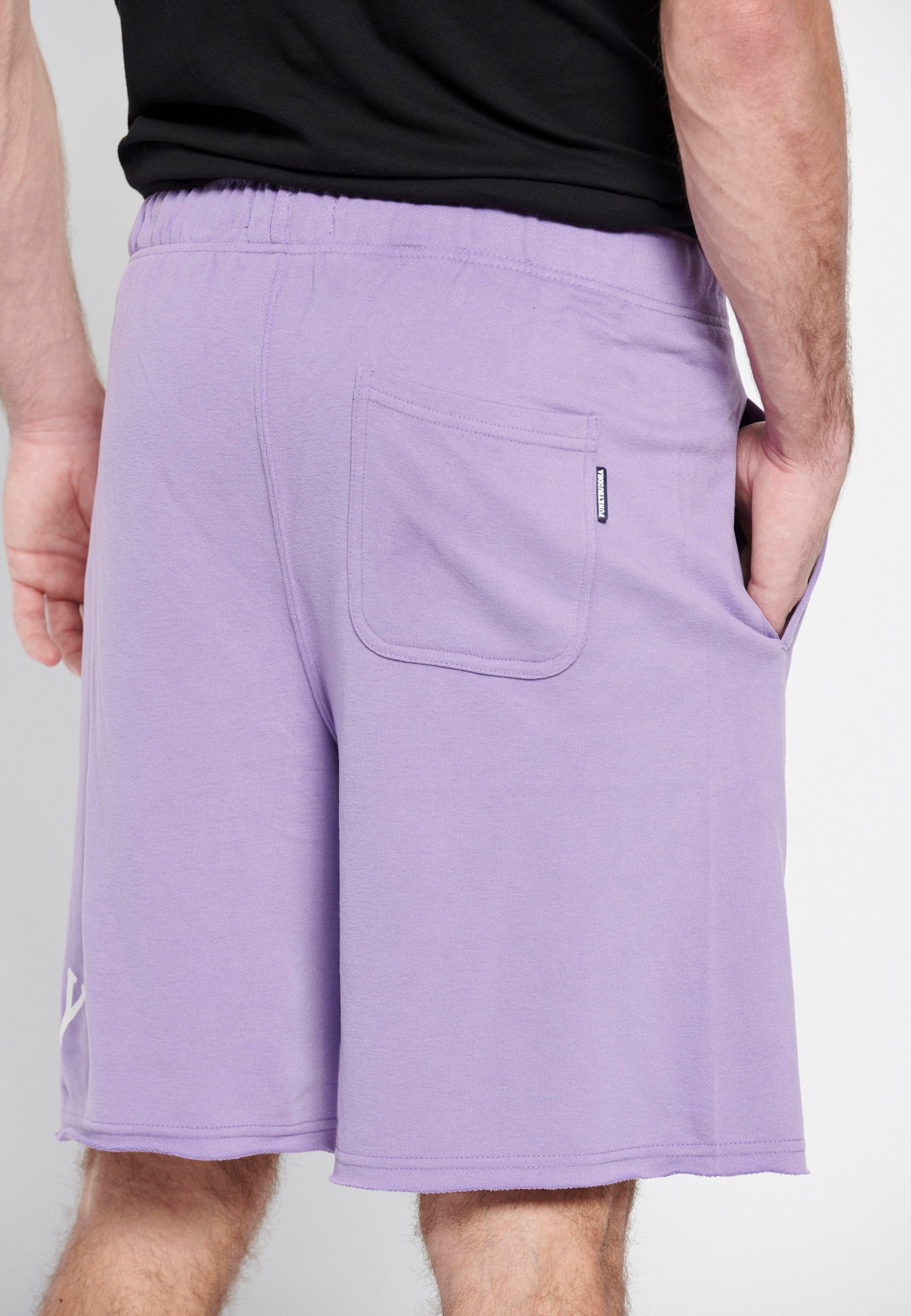 Men's Shorts Funky Buddha Purple
