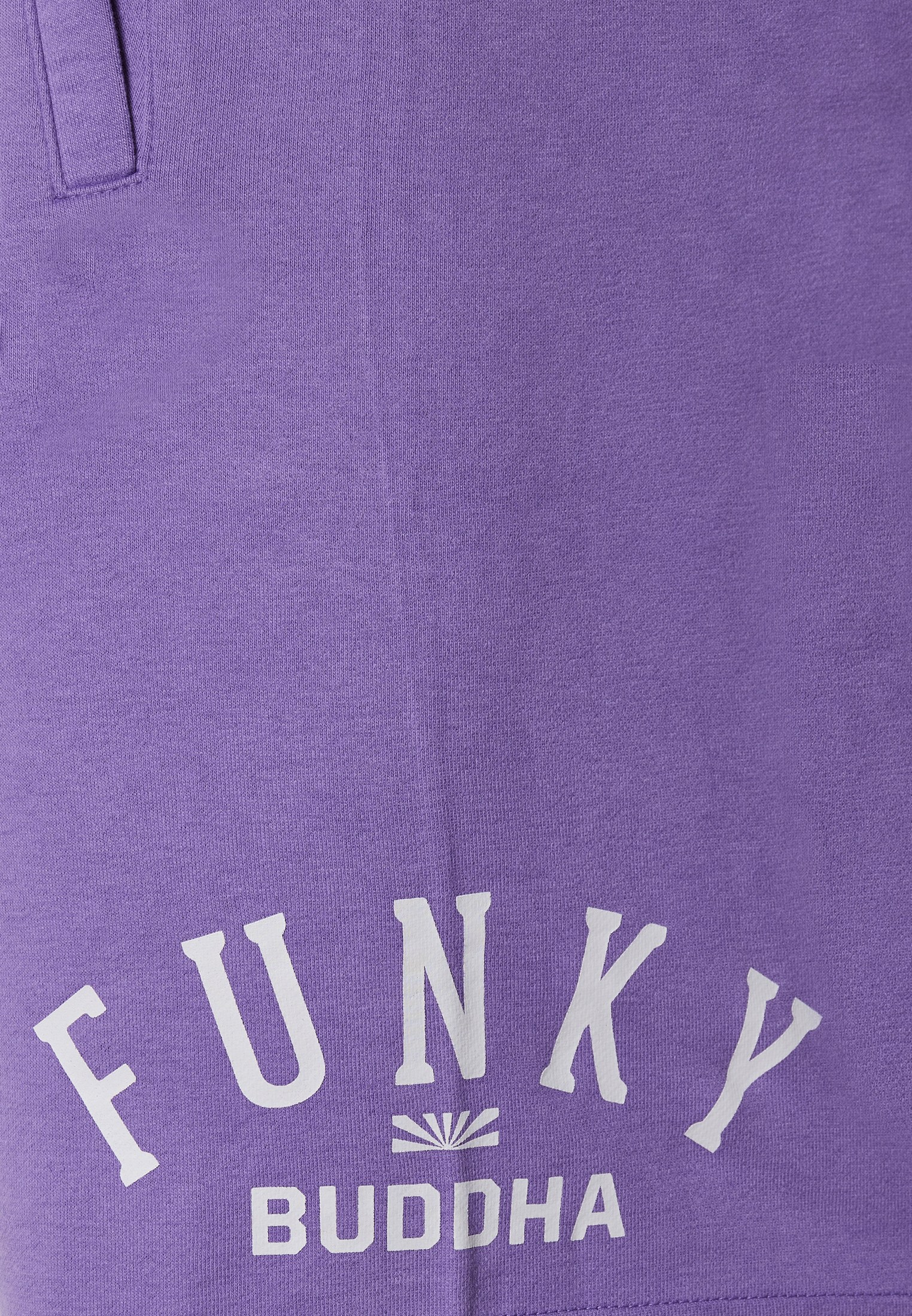 Men's Shorts Funky Buddha Purple