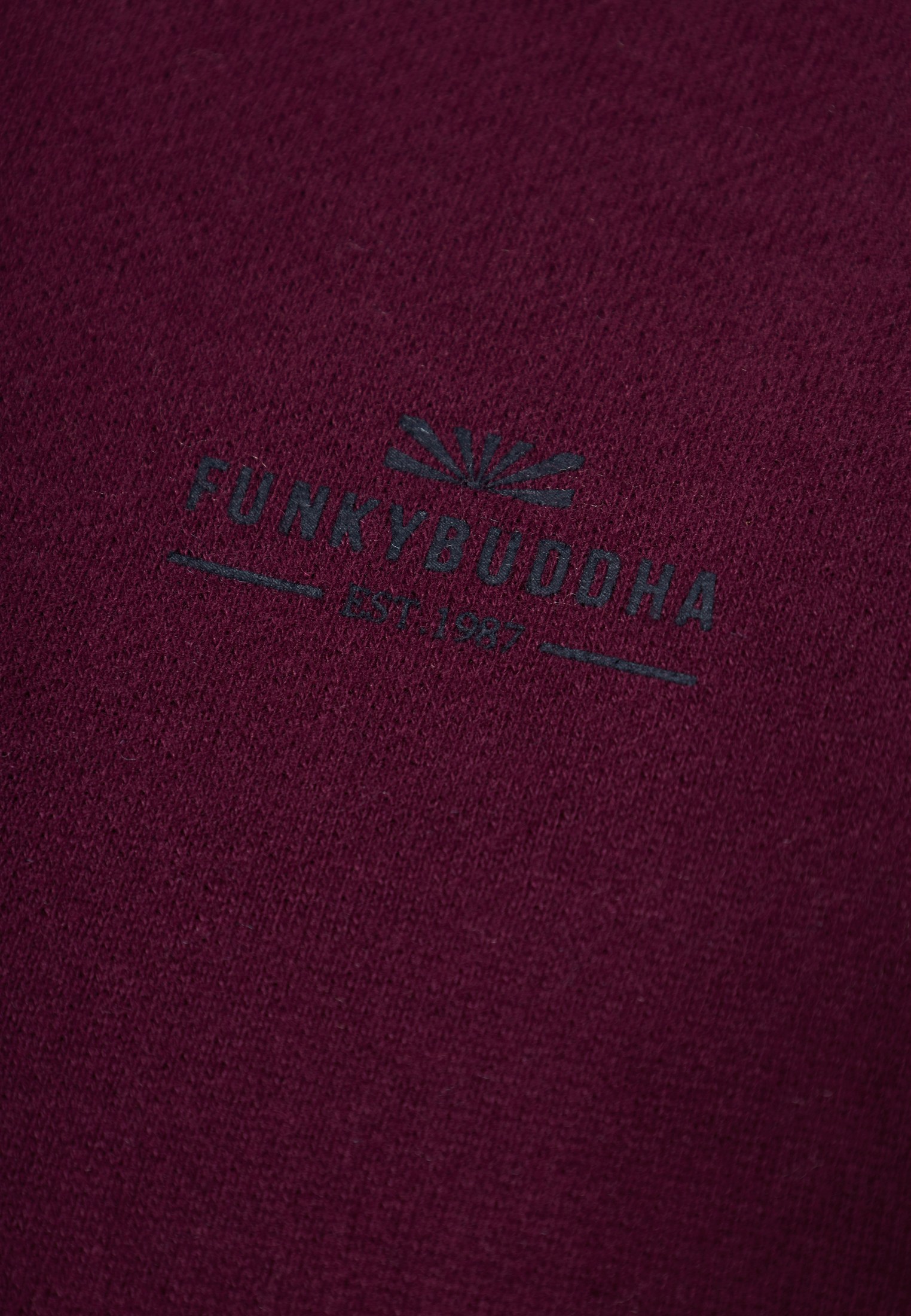 Men's Hoodies & Sweatshirts Funky Buddha Purple