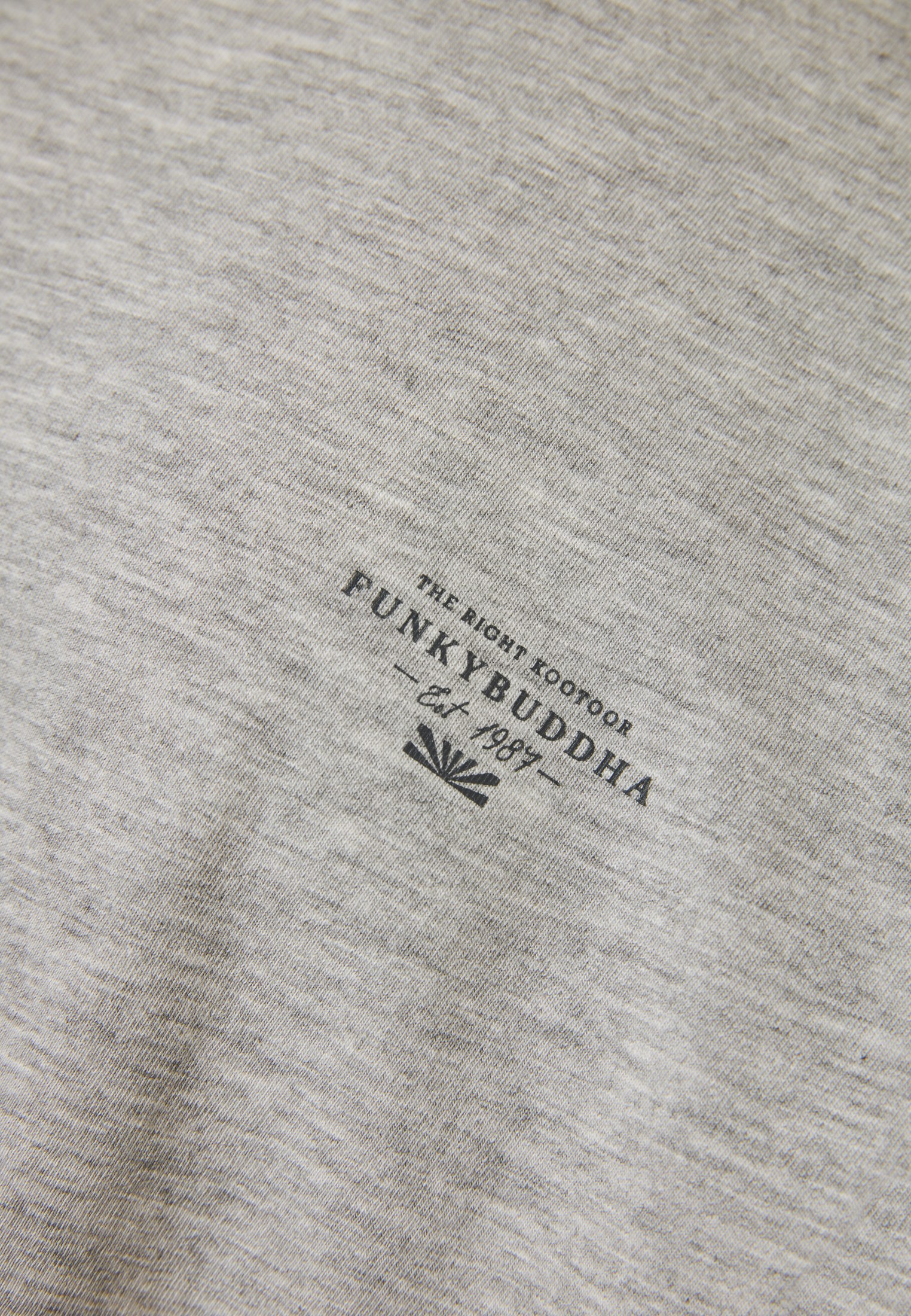 Men's Shirts Funky Buddha Gray