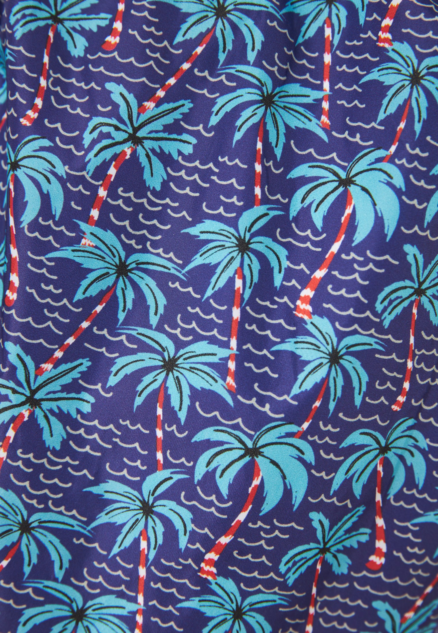 Men's Swim Shorts Funky Buddha