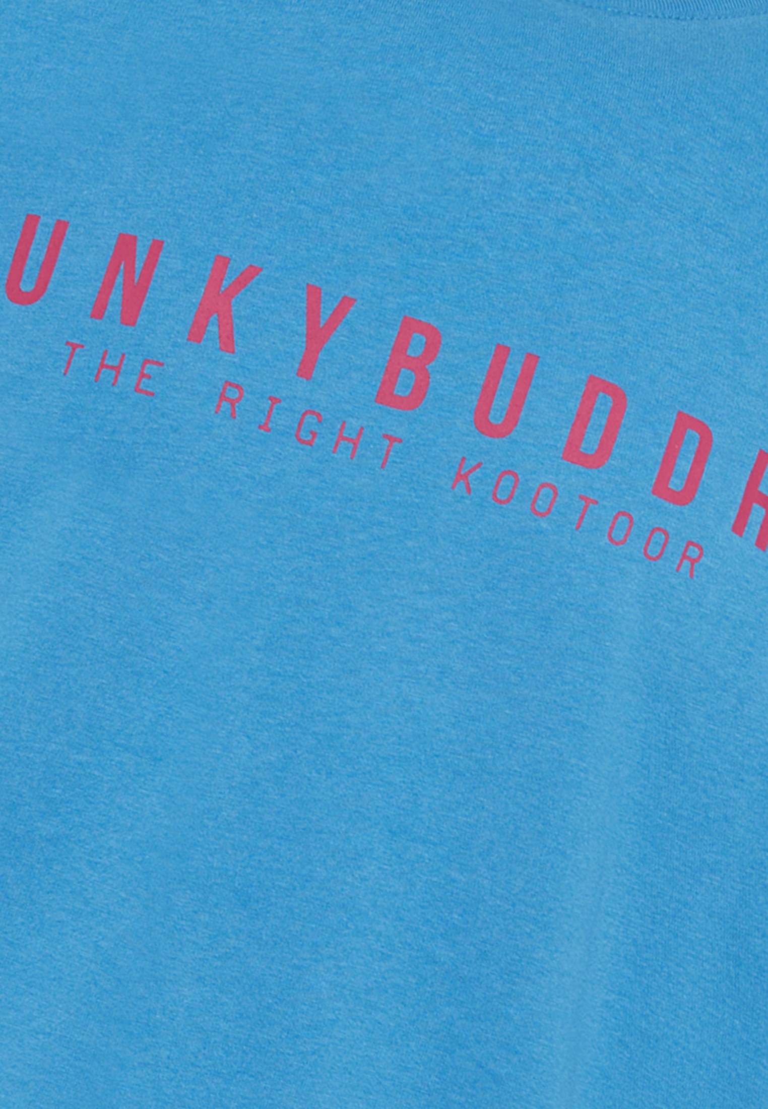 Men's Shirts Funky Buddha Blue