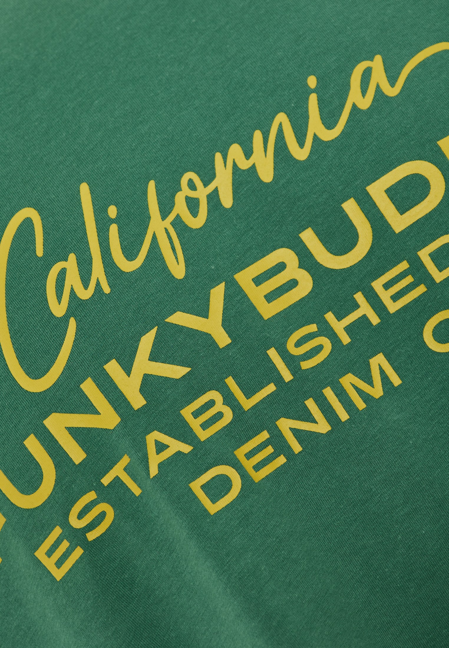 Men's Shirts Funky Buddha Green