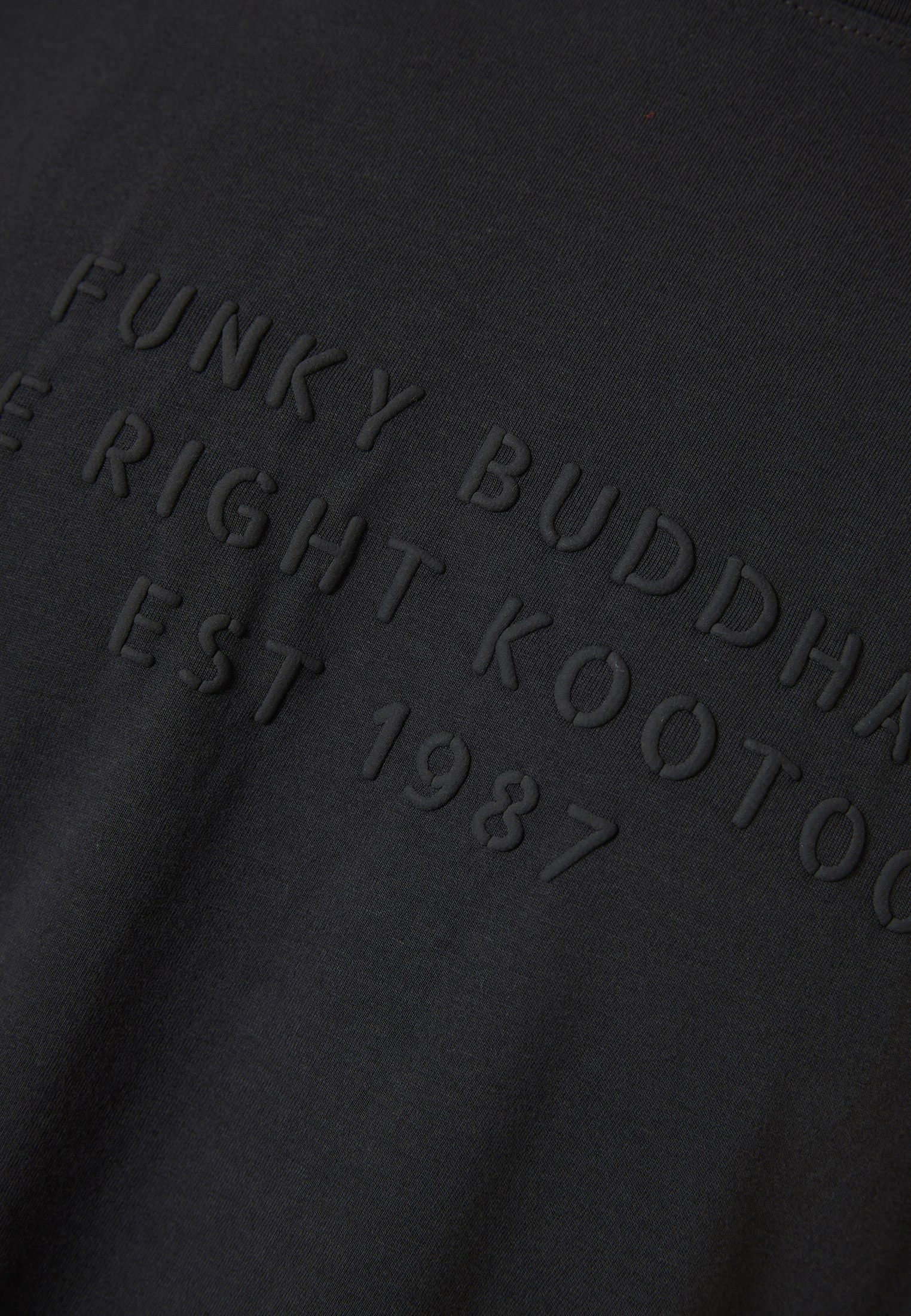 Men's Shirts Funky Buddha Gray