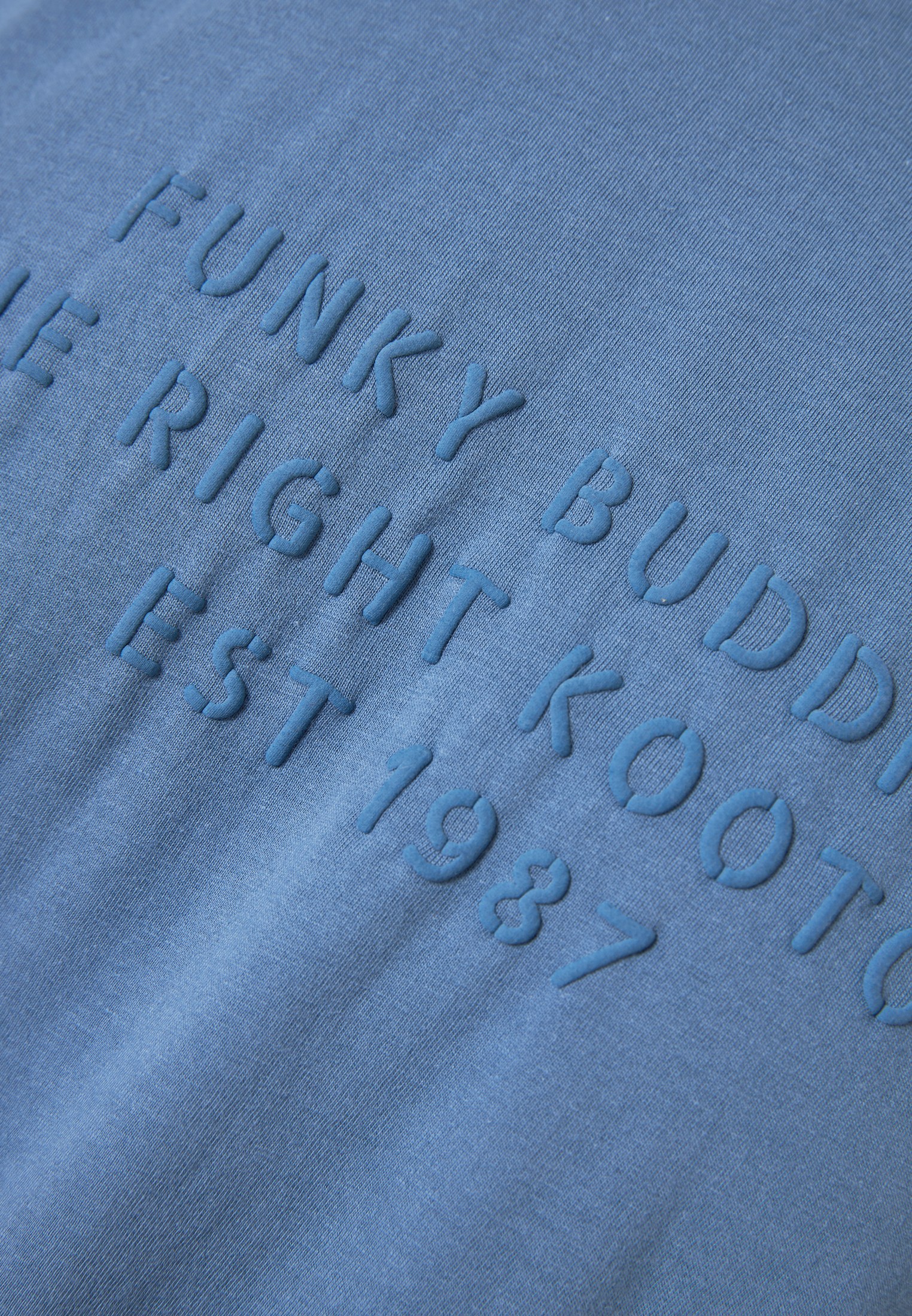 Men's Shirts Funky Buddha Blue