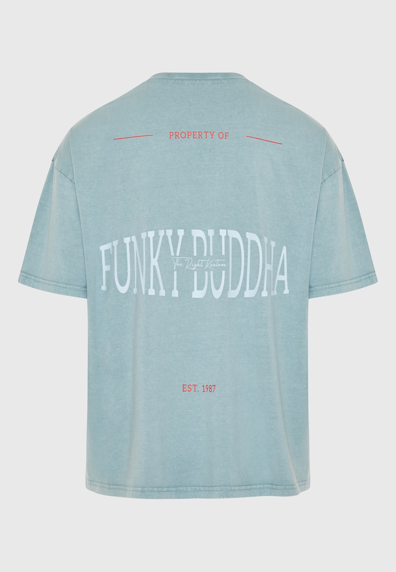 Men's Shirts Funky Buddha Blue