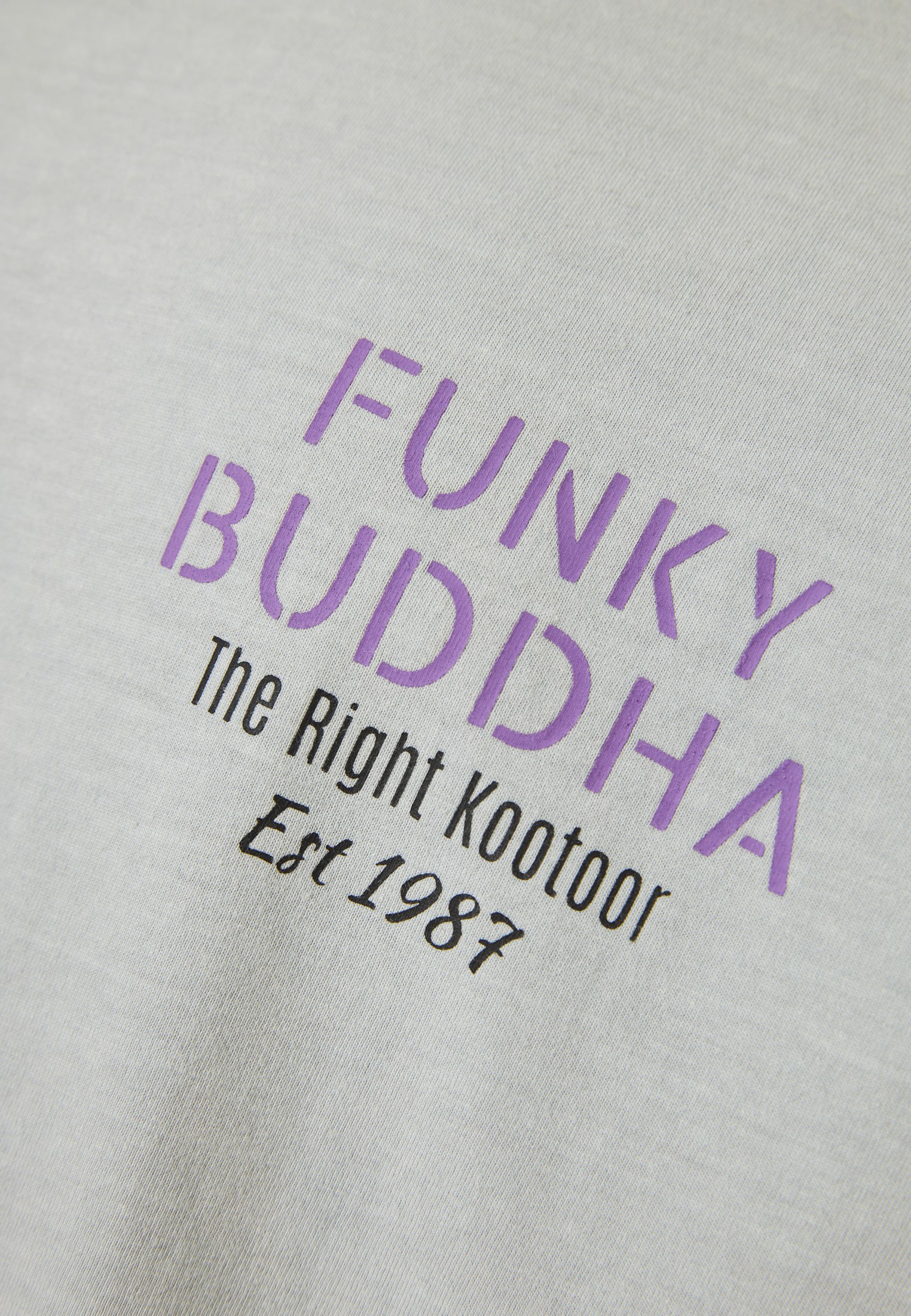 Men's Shirts Funky Buddha Gray