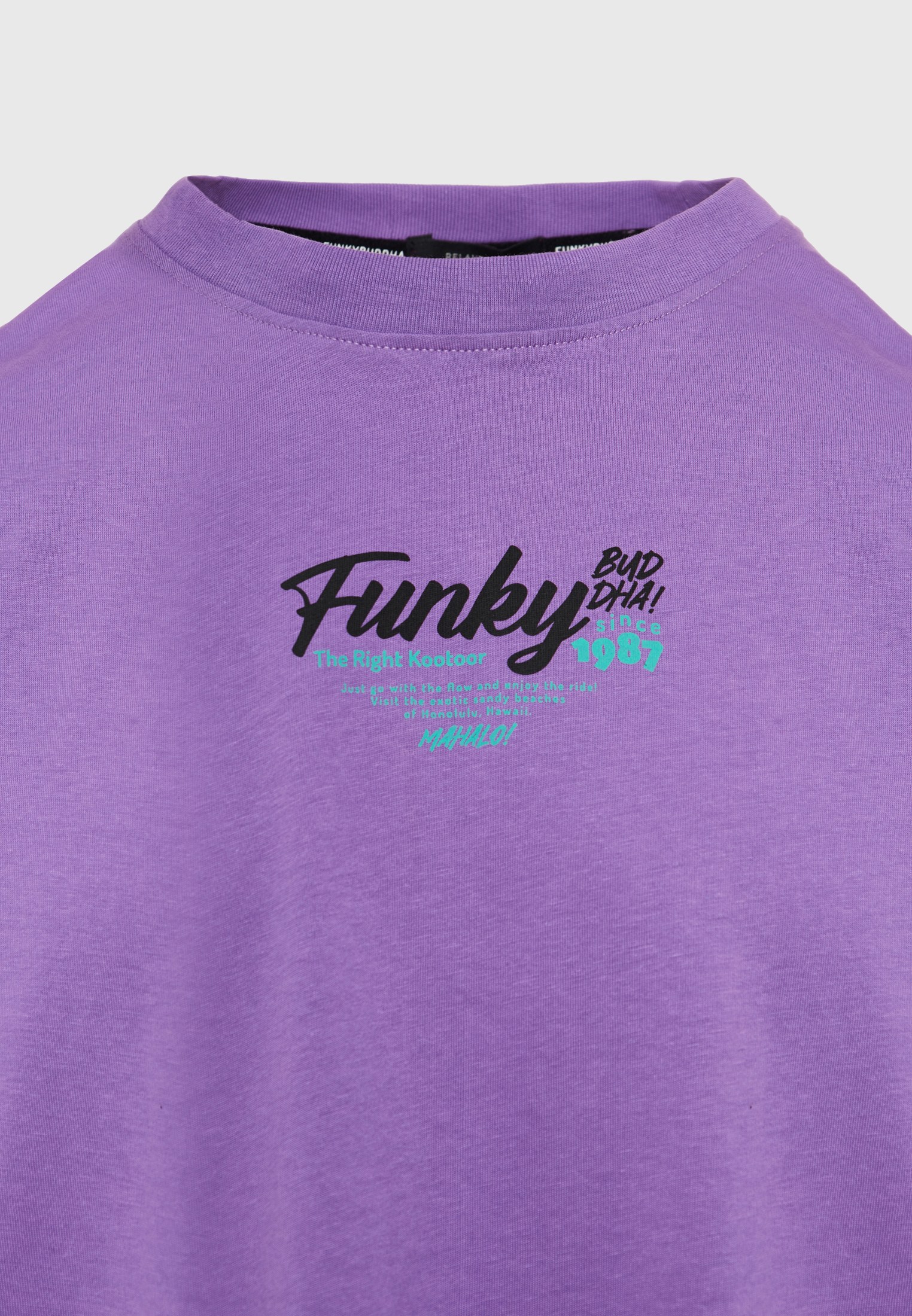 Men's Shirts Funky Buddha Purple