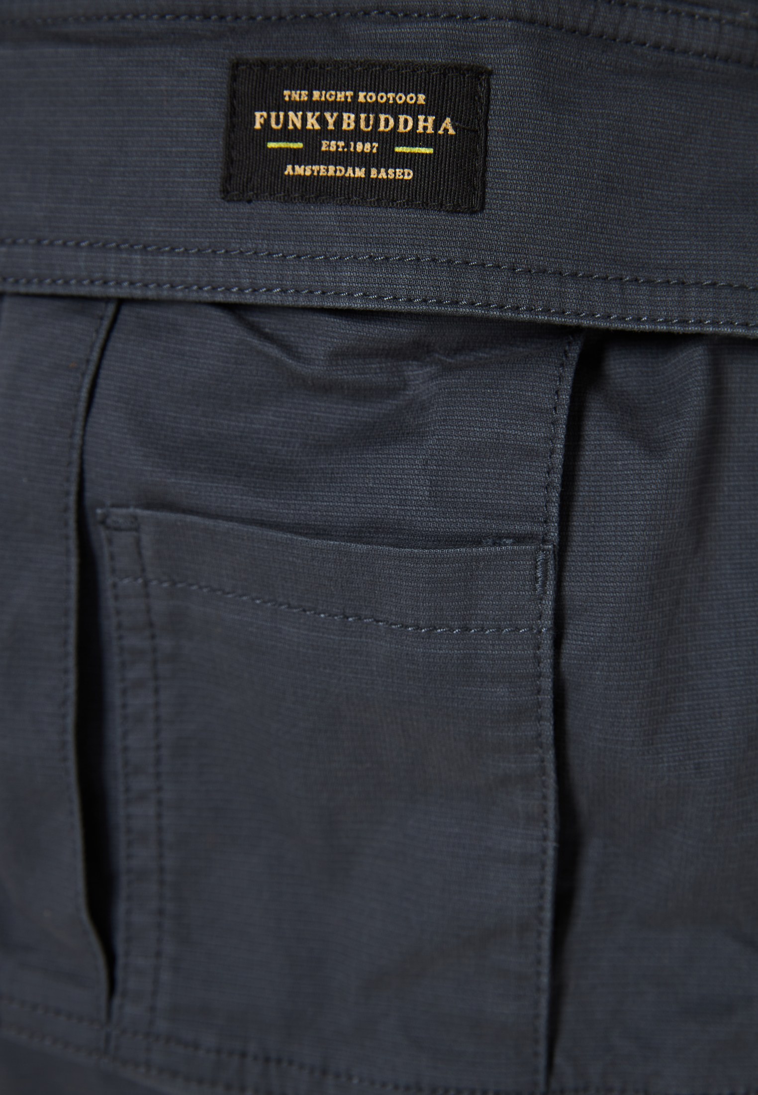 Men's Trousers Funky Buddha Gray