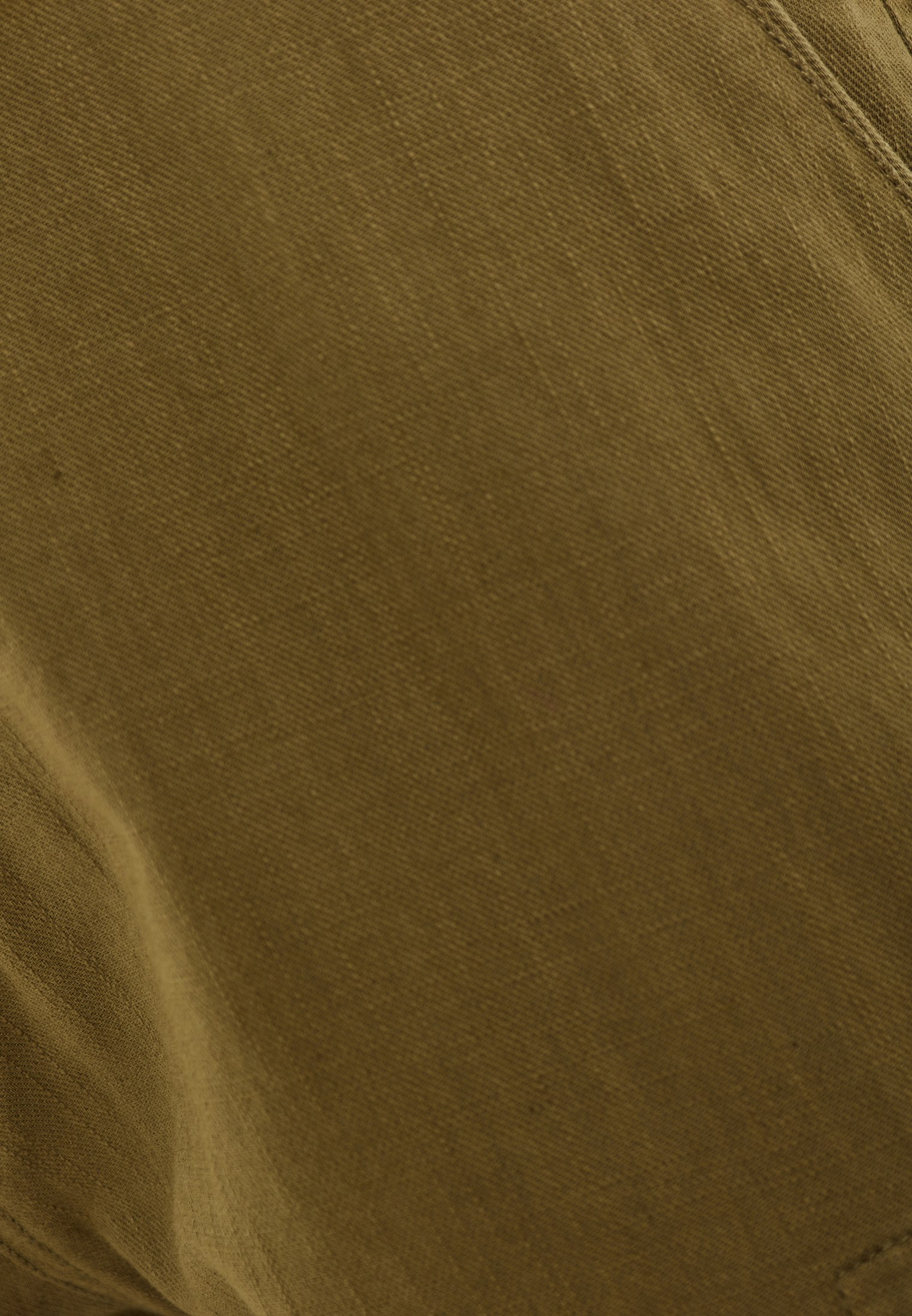 Men's Shorts Funky Buddha Khaki