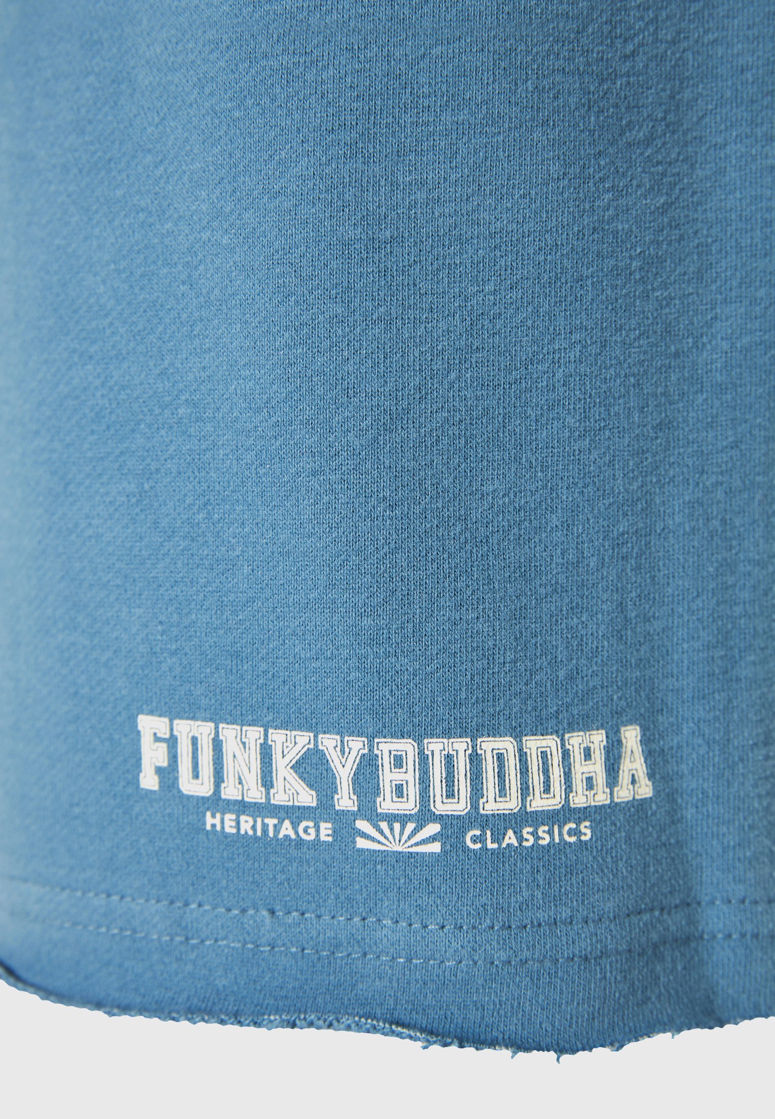 Men's Shorts Funky Buddha Blue