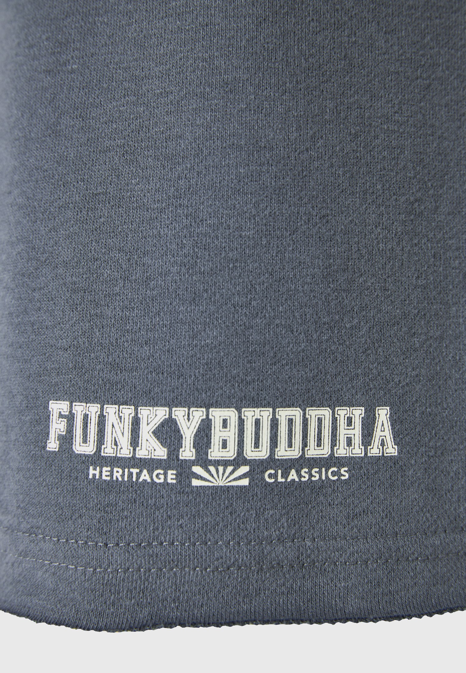 Men's Shorts Funky Buddha Gray
