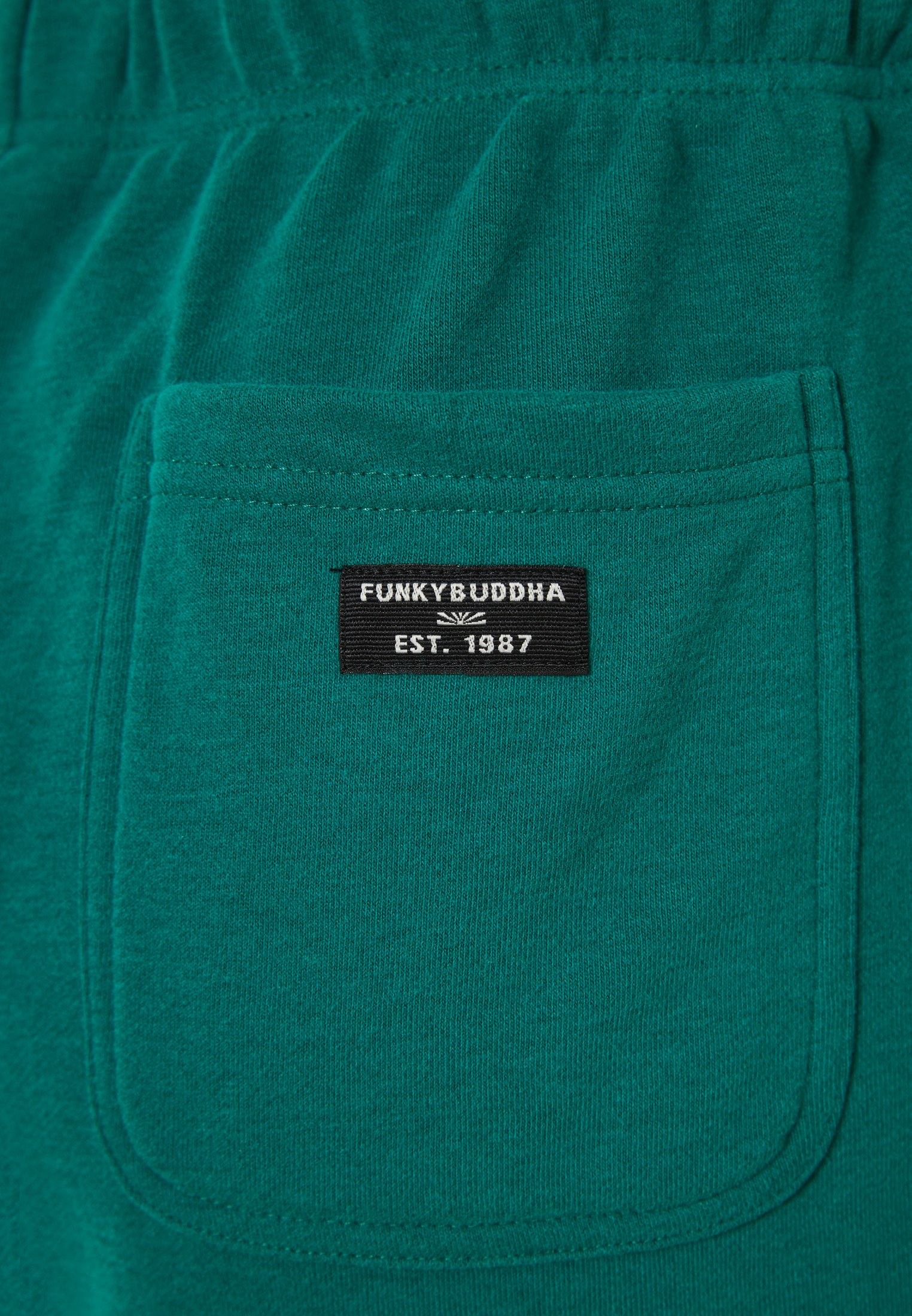 Men's Shorts Funky Buddha Green