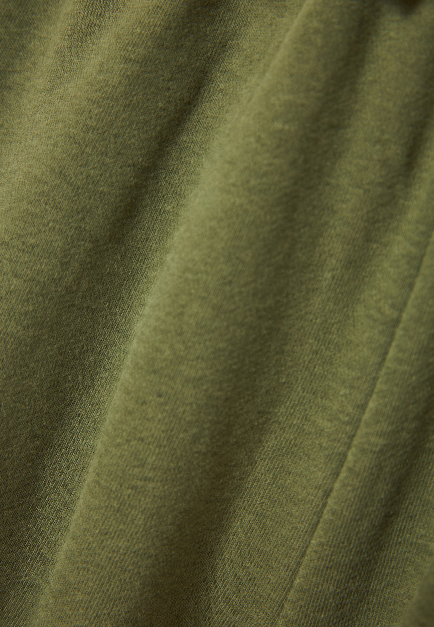 Men's Shorts Funky Buddha Khaki