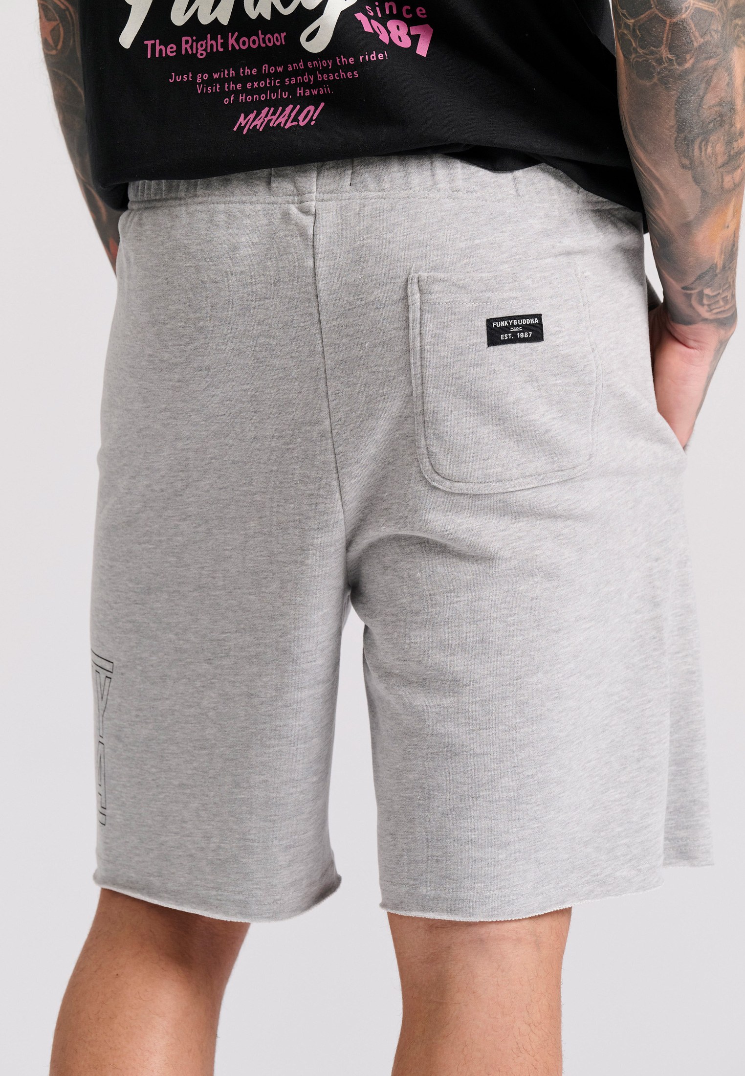 Men's Shorts Funky Buddha Gray
