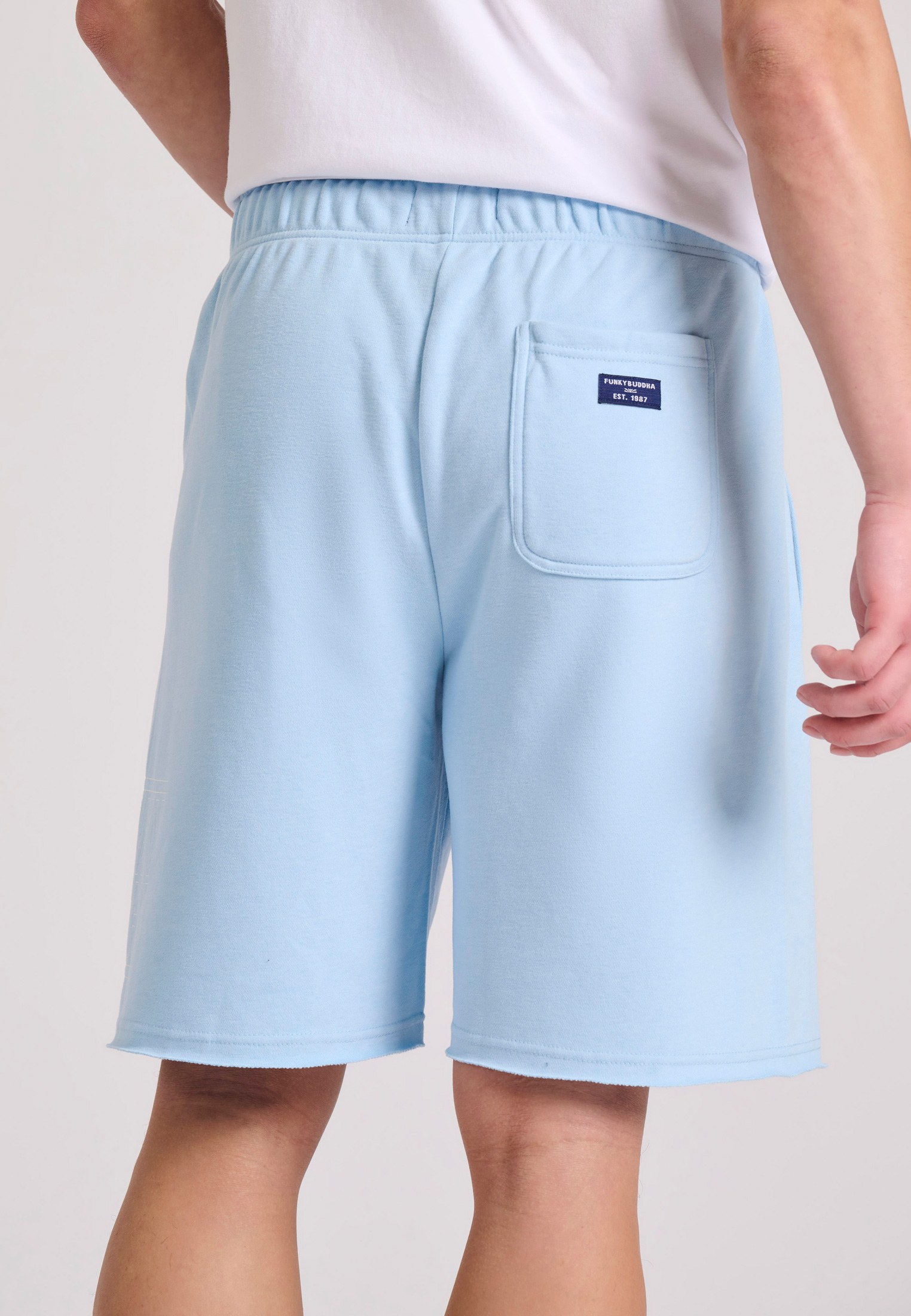 Men's Shorts Funky Buddha Blue