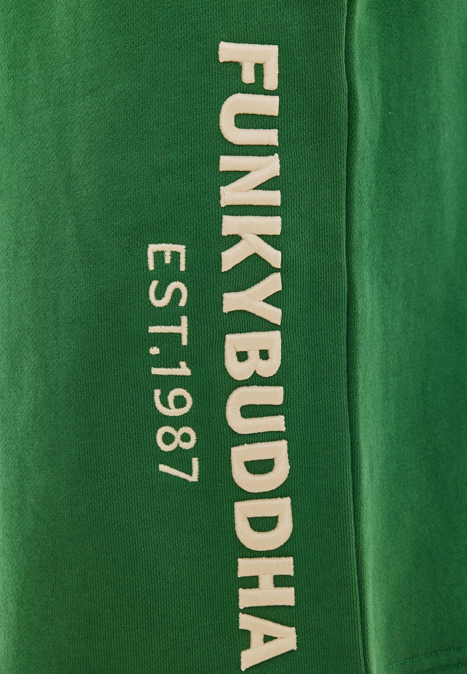 Men's Shorts Funky Buddha Green