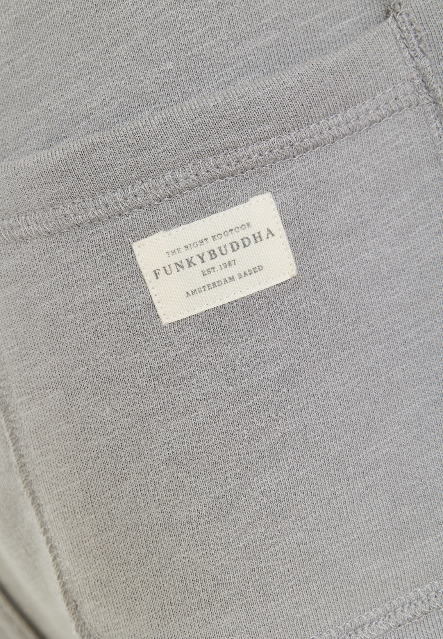 Men's Shorts Funky Buddha Gray