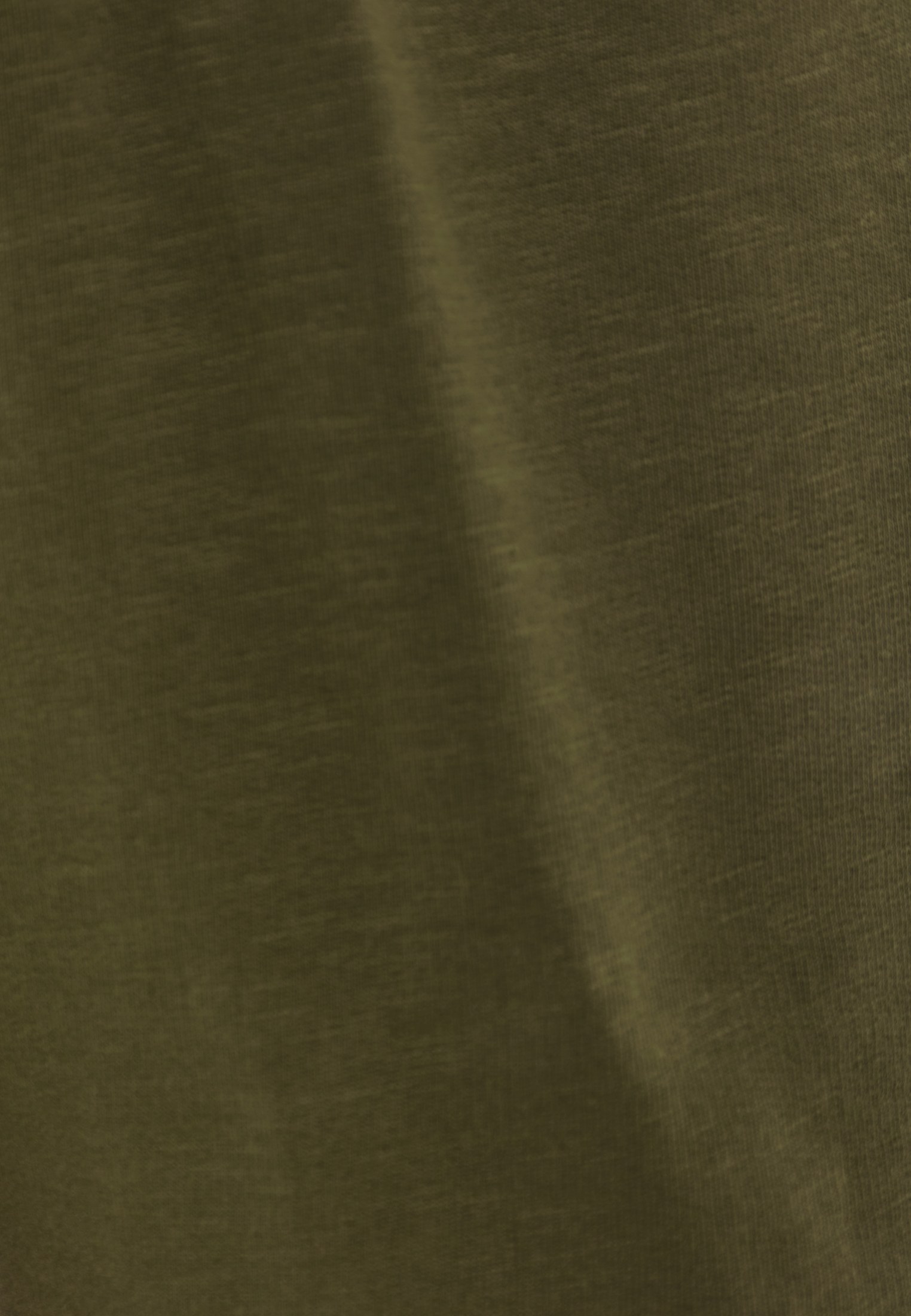 Men's Shorts Funky Buddha Khaki