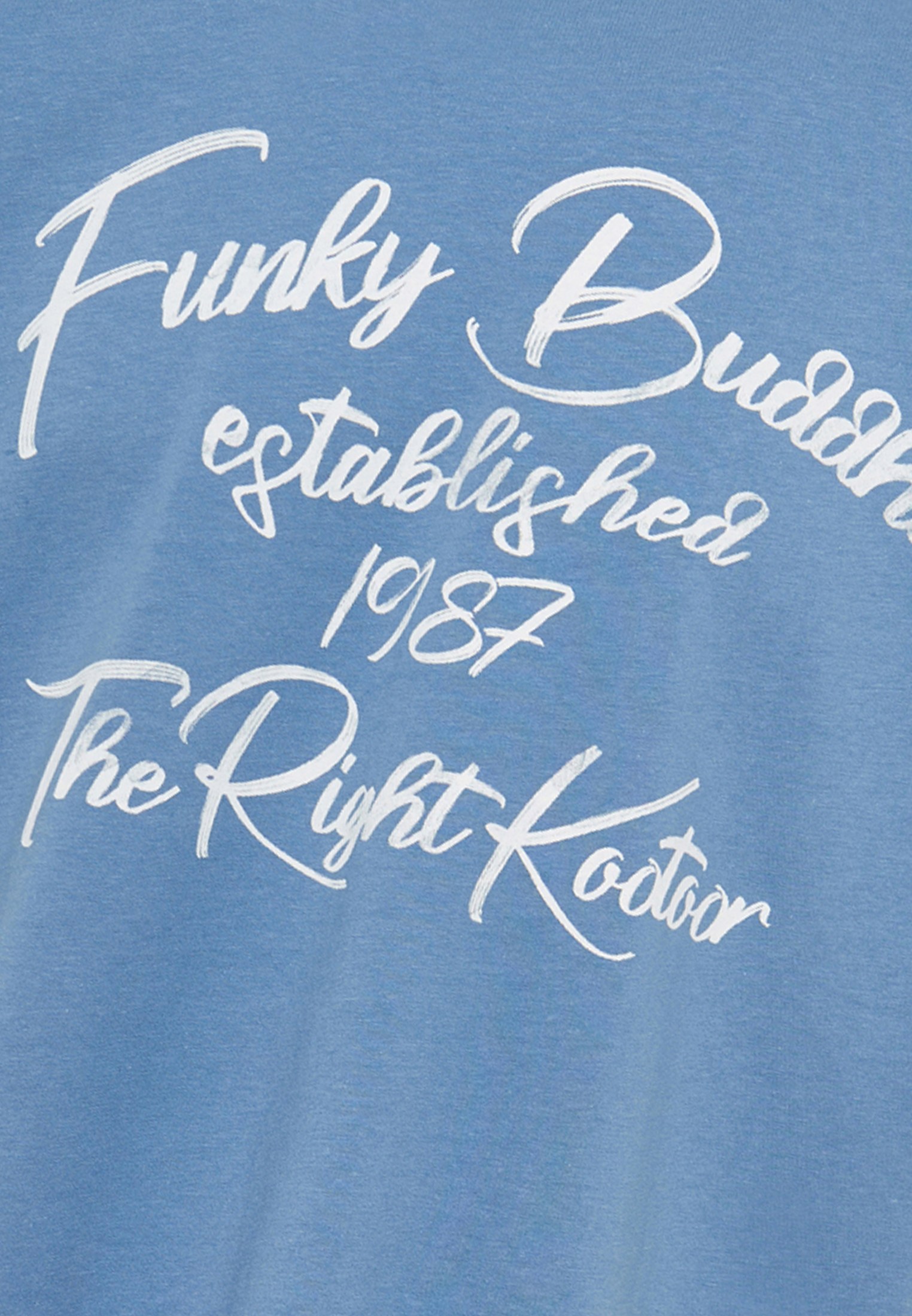 Men's Shirts Funky Buddha Blue