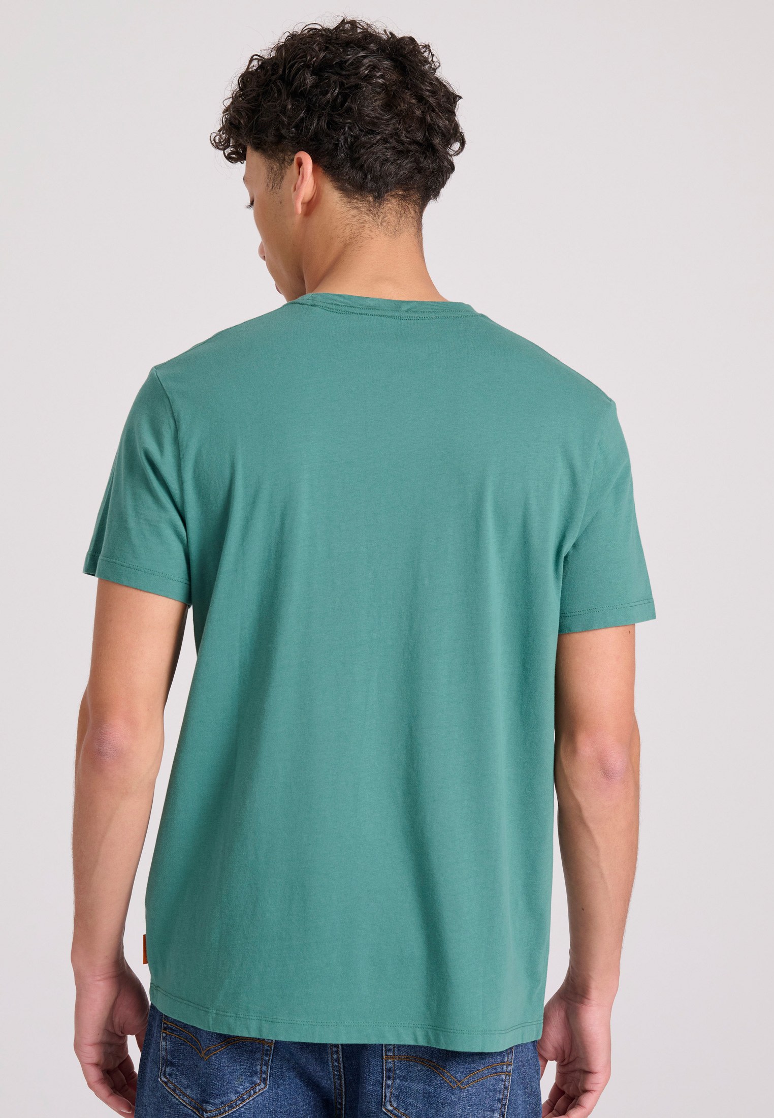 Men's Shirts Funky Buddha Green