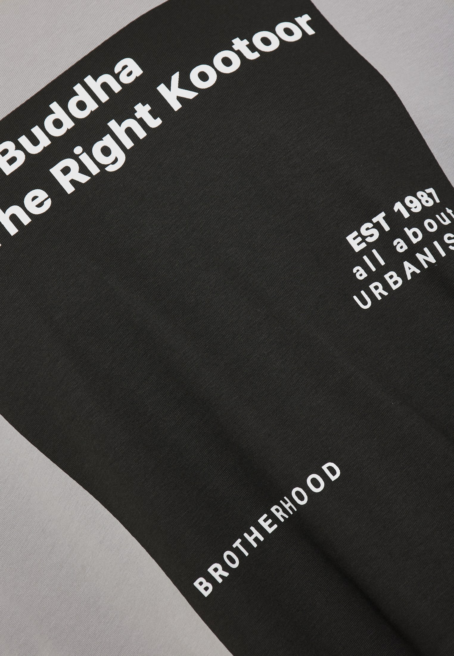 Men's Shirts Funky Buddha Gray