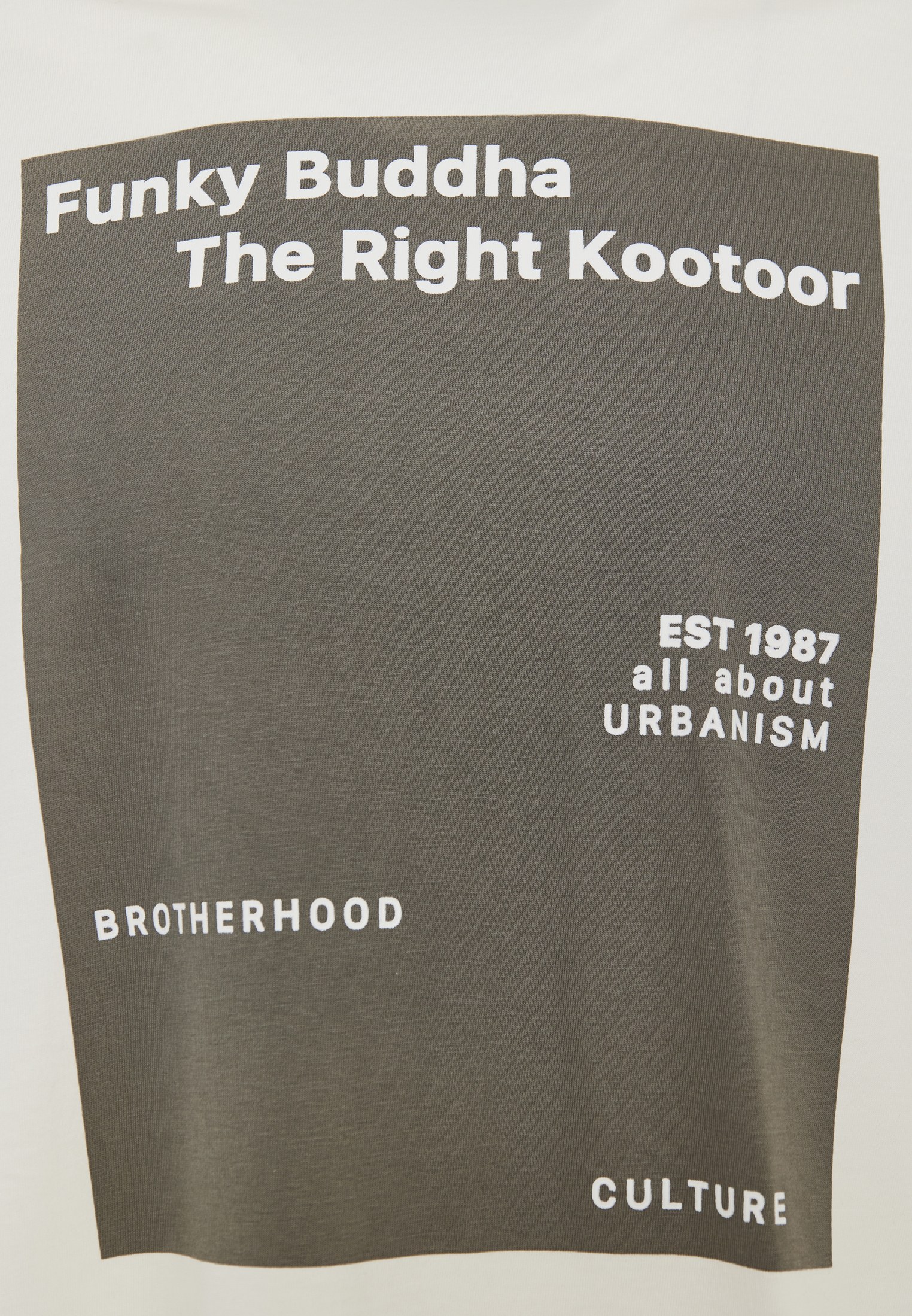 Men's Shirts Funky Buddha White