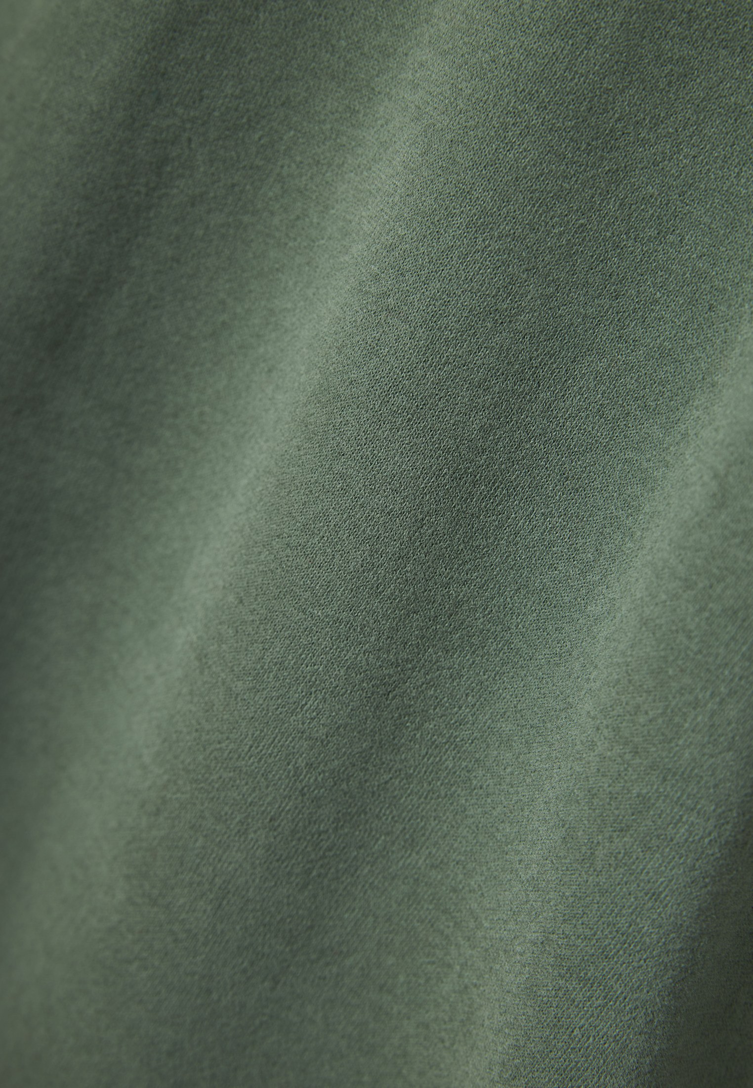 Men's Hoodies & Sweatshirts Funky Buddha Green