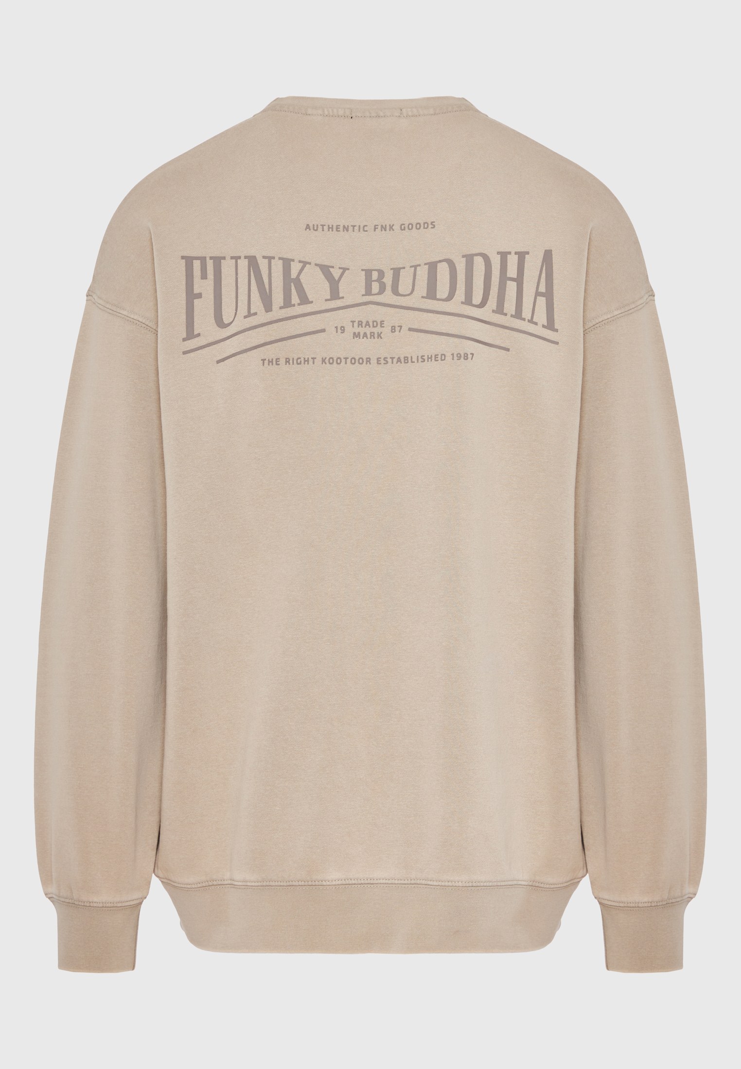 Oversized garment dyed φούτερ με τύπωμα στην πλάτη φωτογραφία