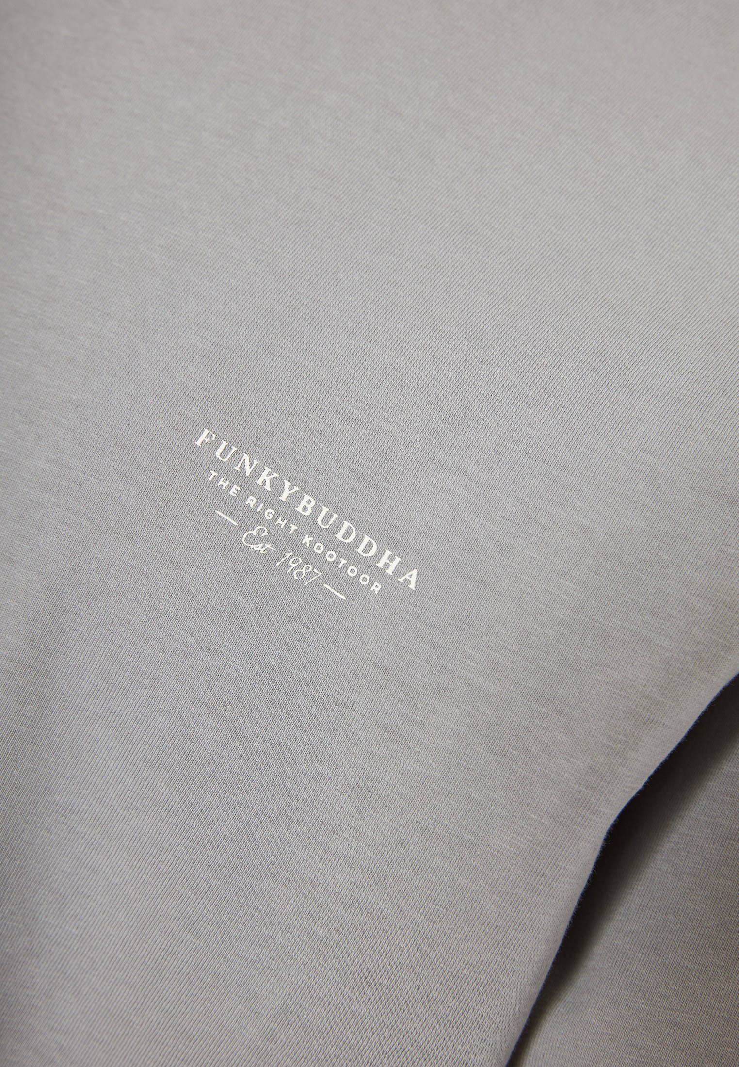 Men's T-Shirts Funky Buddha Gray