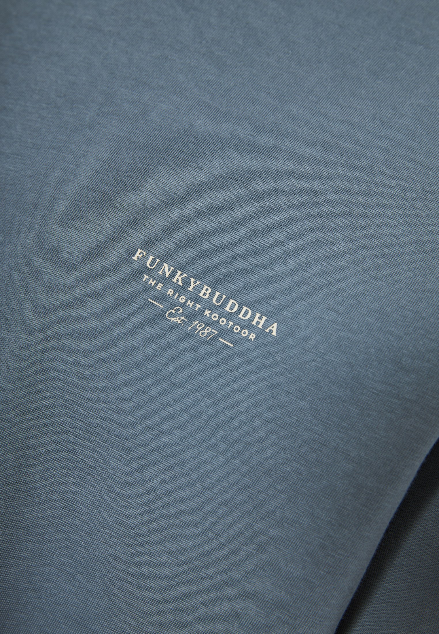 Men's T-Shirts Funky Buddha Gray