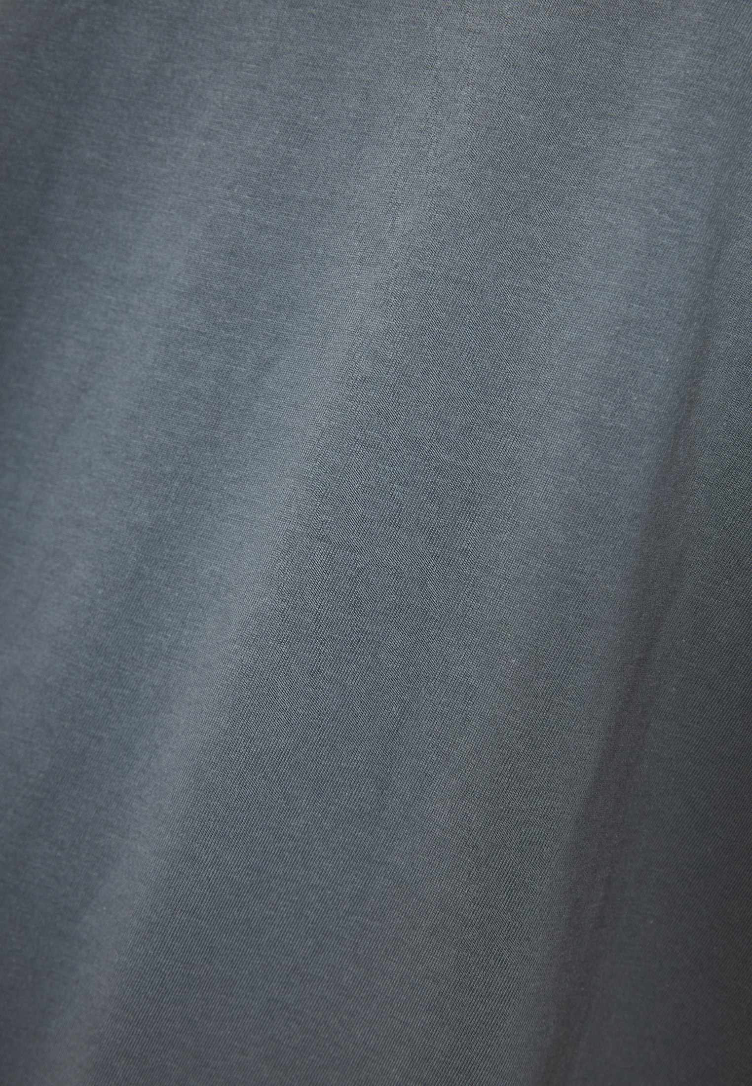 Men's T-Shirts Funky Buddha Gray