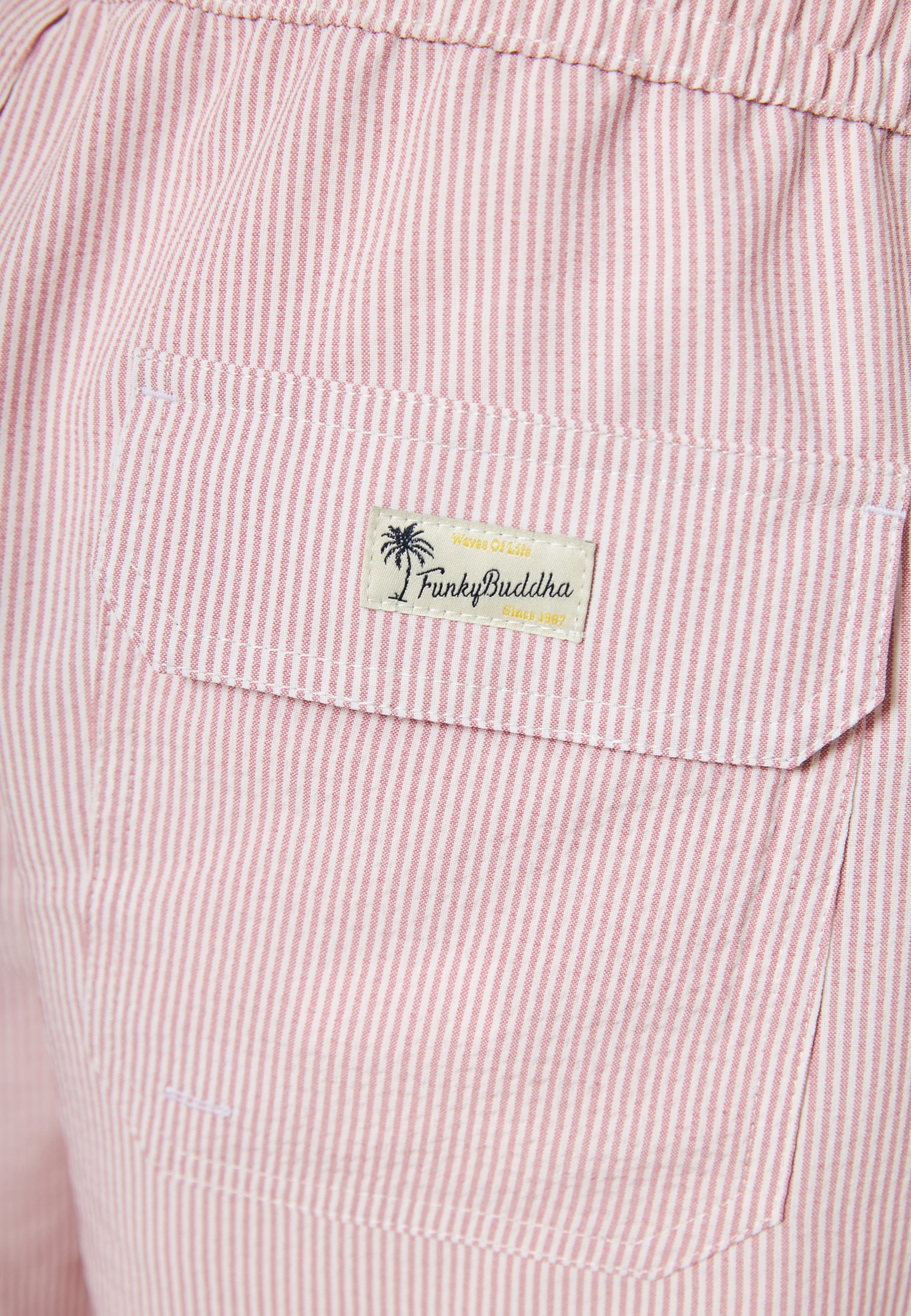 Men's Swim Shorts Funky Buddha Pink